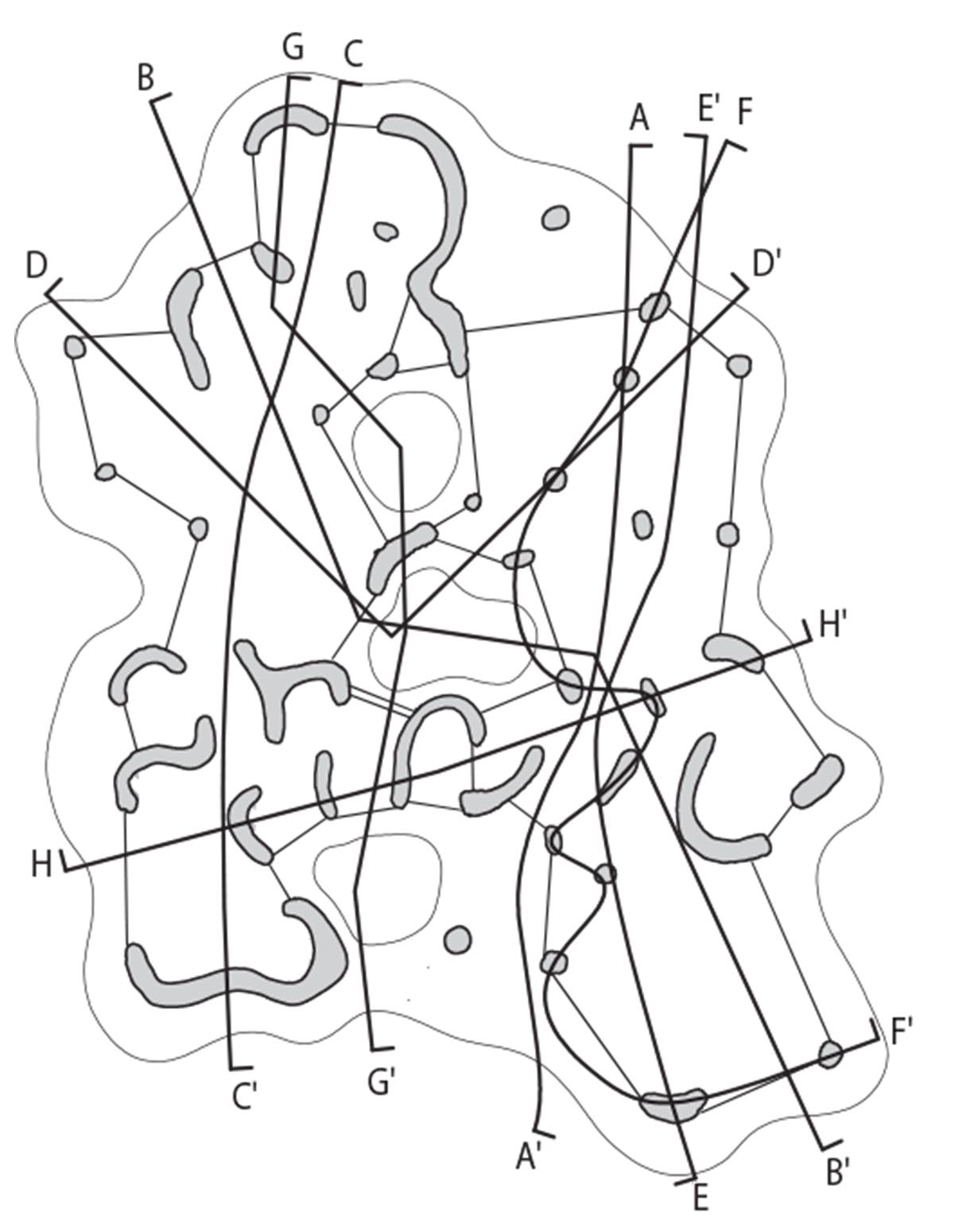 Junya.Ishigami+Associates reveals cave-like house and restaurant in earth form in Japan 