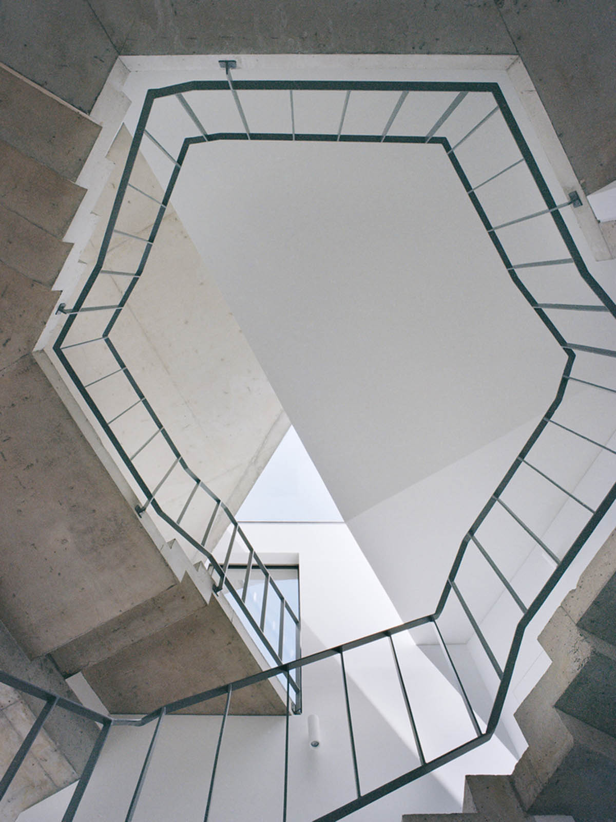 Double(o) Studio built Trefoil House with circular and hexagonal layout merged in one massing