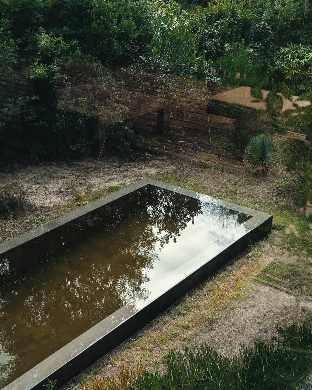Maud Caubet Architectes built an elevated house creating a contrast in the forest in Landes