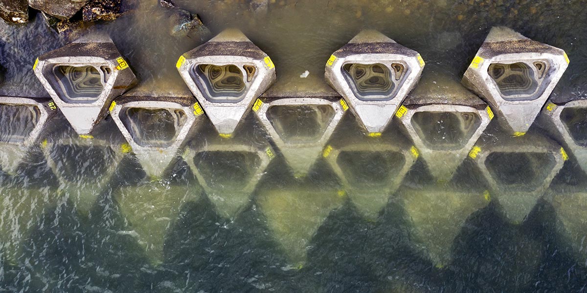 Design Educates Awards announces winners for its 2022 edition 