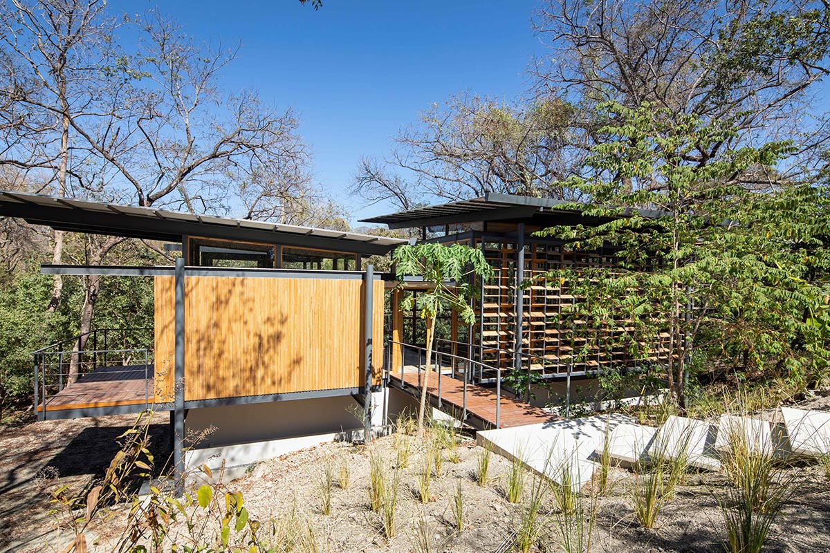 Studio Saxe completes Jungle Frame House with tropical atrium in Costa Rica