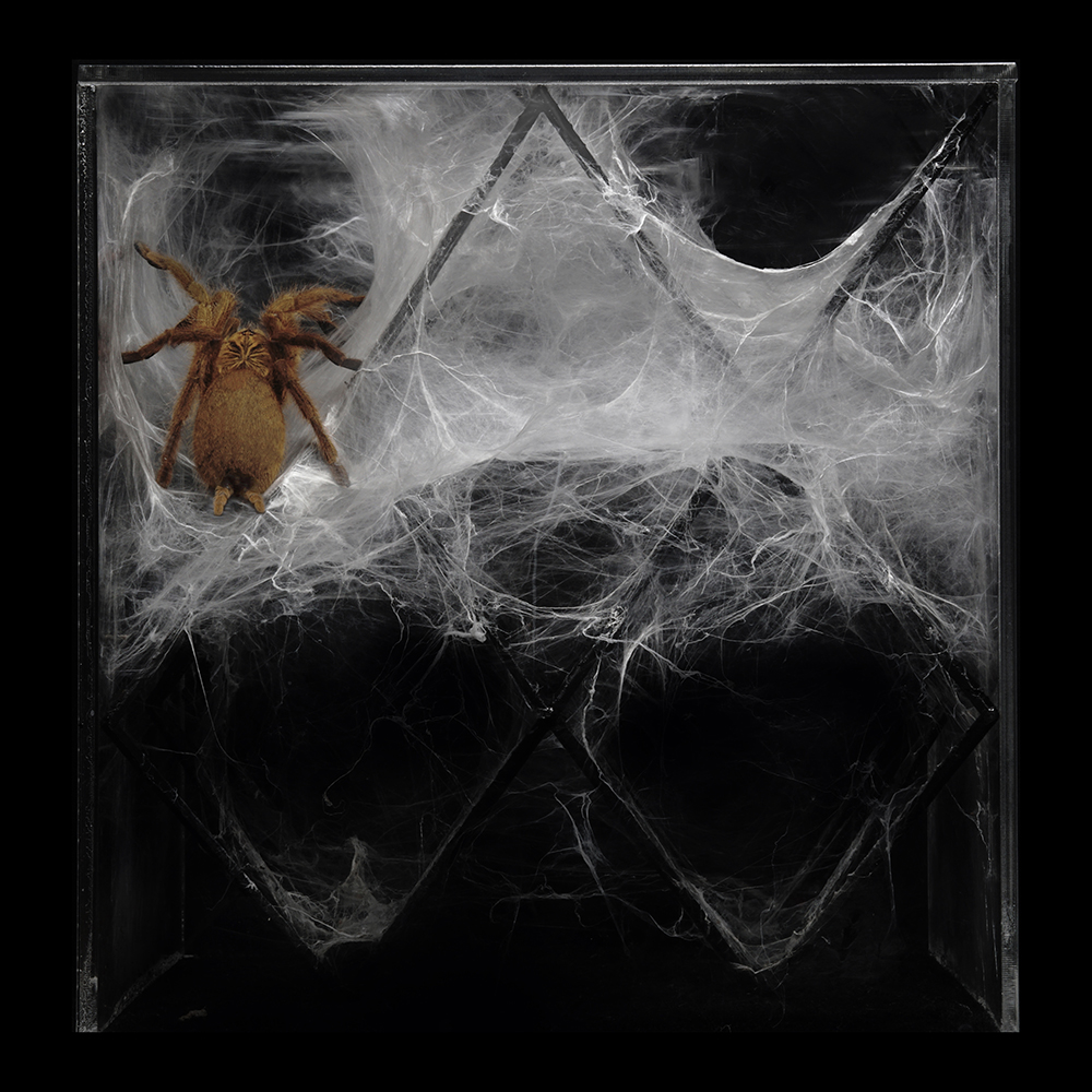 ecoLogicStudio designs two bio-digital sculptures exploring the future forms of spatial intelligence