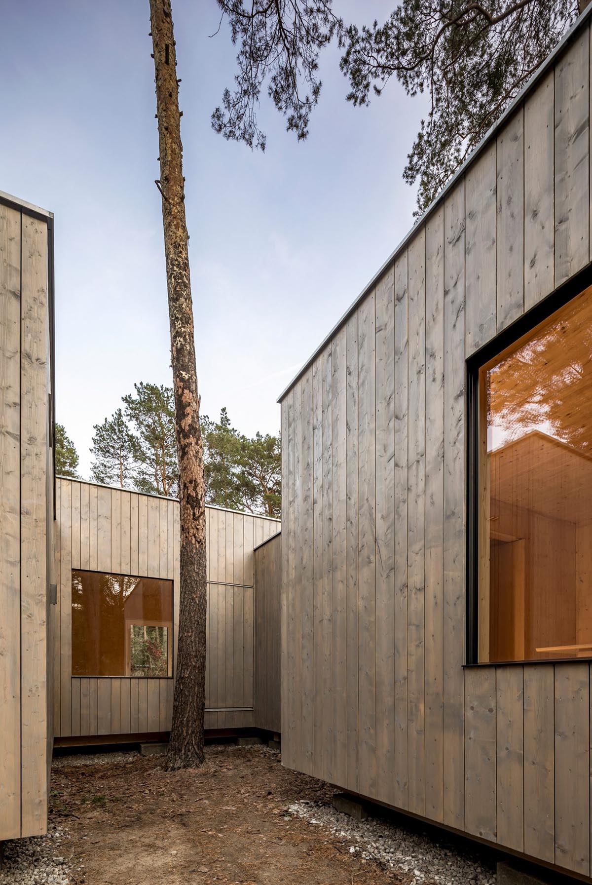 Zeller & Moye built private residence composed of interlocked timber cabins among pine trees