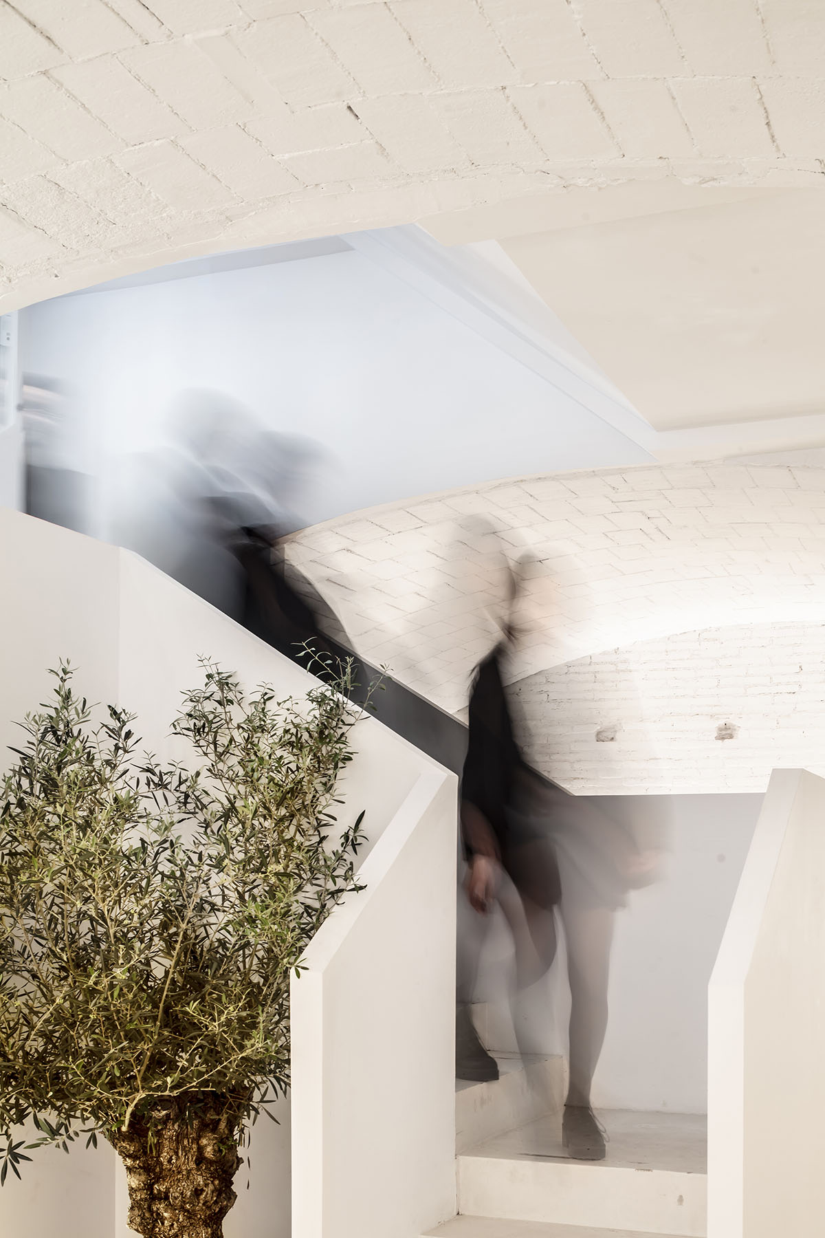 Jofre Roca Arquitectes combines Mediterranean tradition and contemporaneity for a parfum boutique