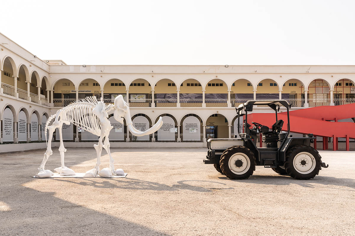 AMO/OMA opens exhibition, Countryside: A Place to Live, Not to Leave, in Doha