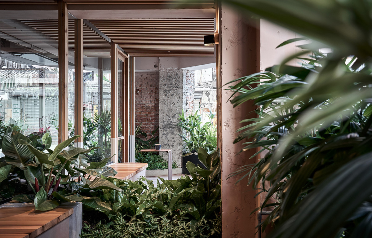 Soar Design Studio adds greenery and smooth surfaces to chocolate store offering garden-like space
