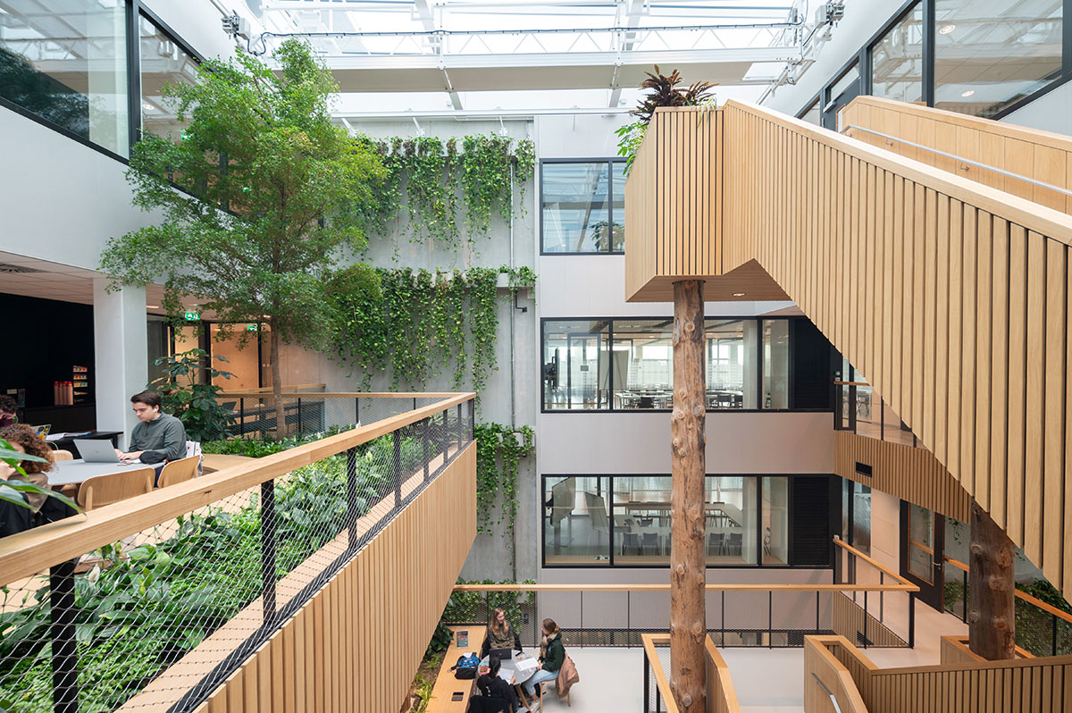 Untreated tree trunks pass through the central staircase of the Langeveld Building in Rotterdam