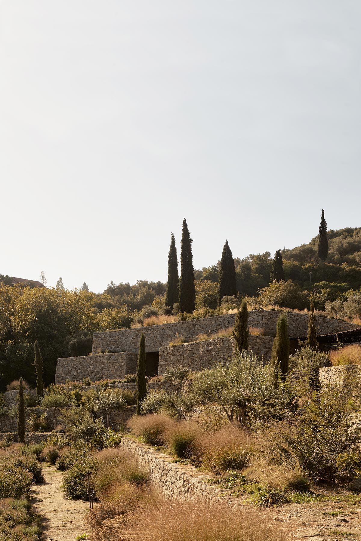 Terraced stonewalls sprawl down to offer an exploratory route in an old vineyard in Samos