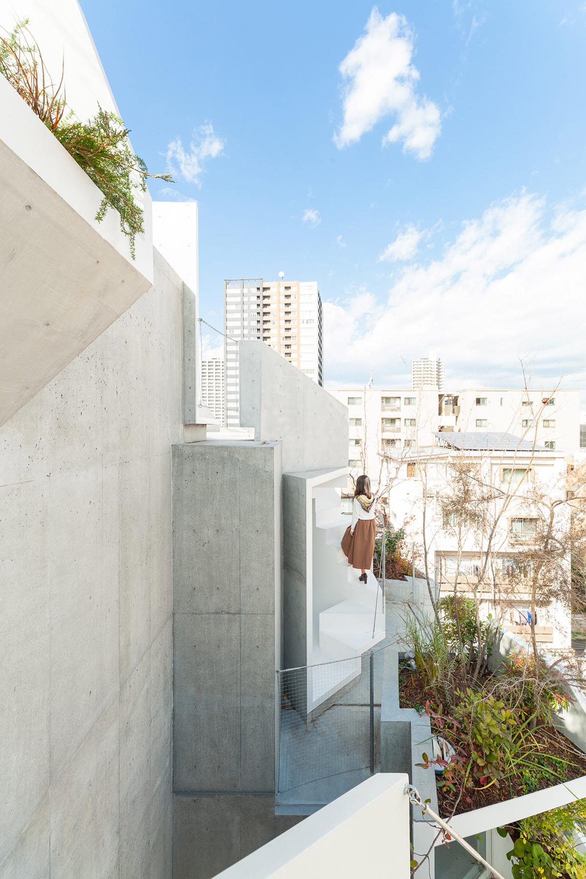 Akihisa Hirata built Tree-ness house that can create organic mass with indoor and outdoor spaces
