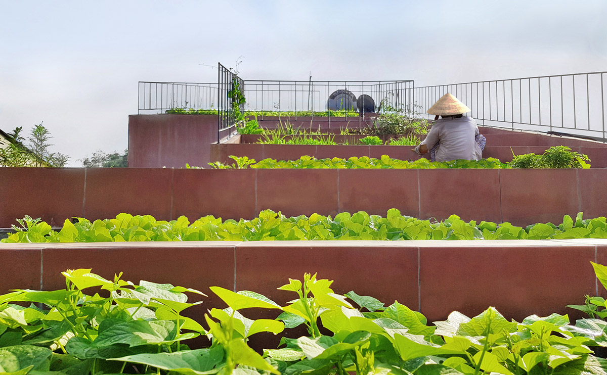 This reddish house features rooftop garden to make owners grow their own food in Vietnam