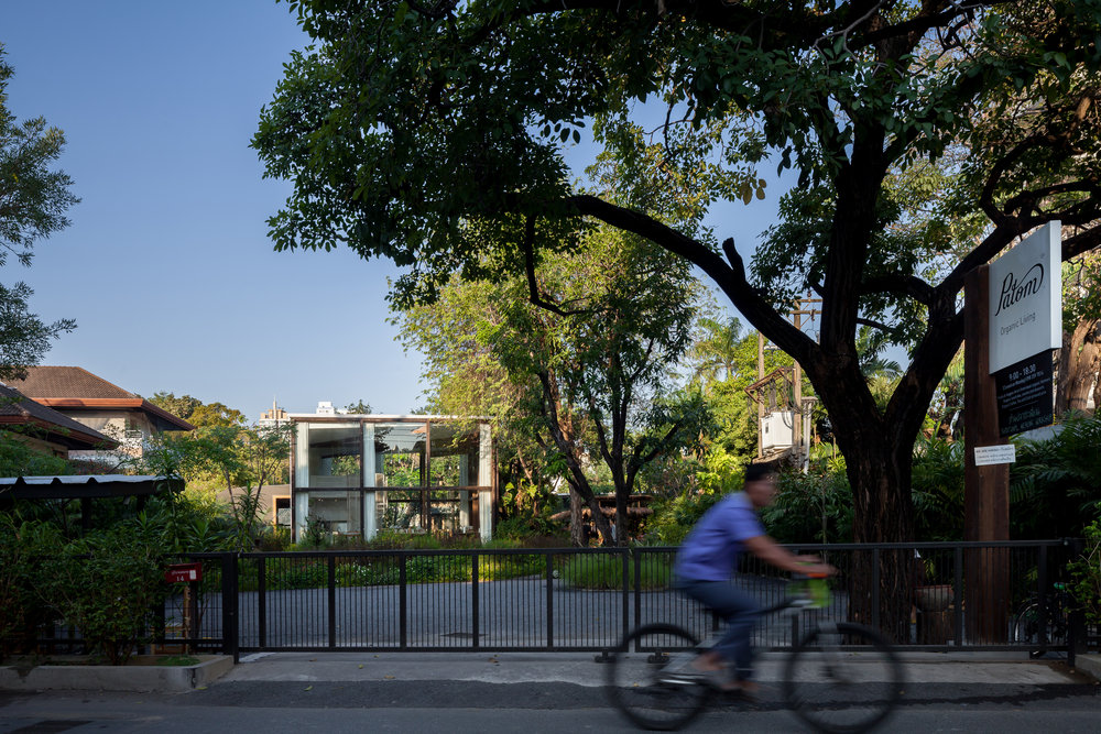 NitaProw designed an elegant transparent beauty shop within coconut trees of  Thonglor in Bangkok