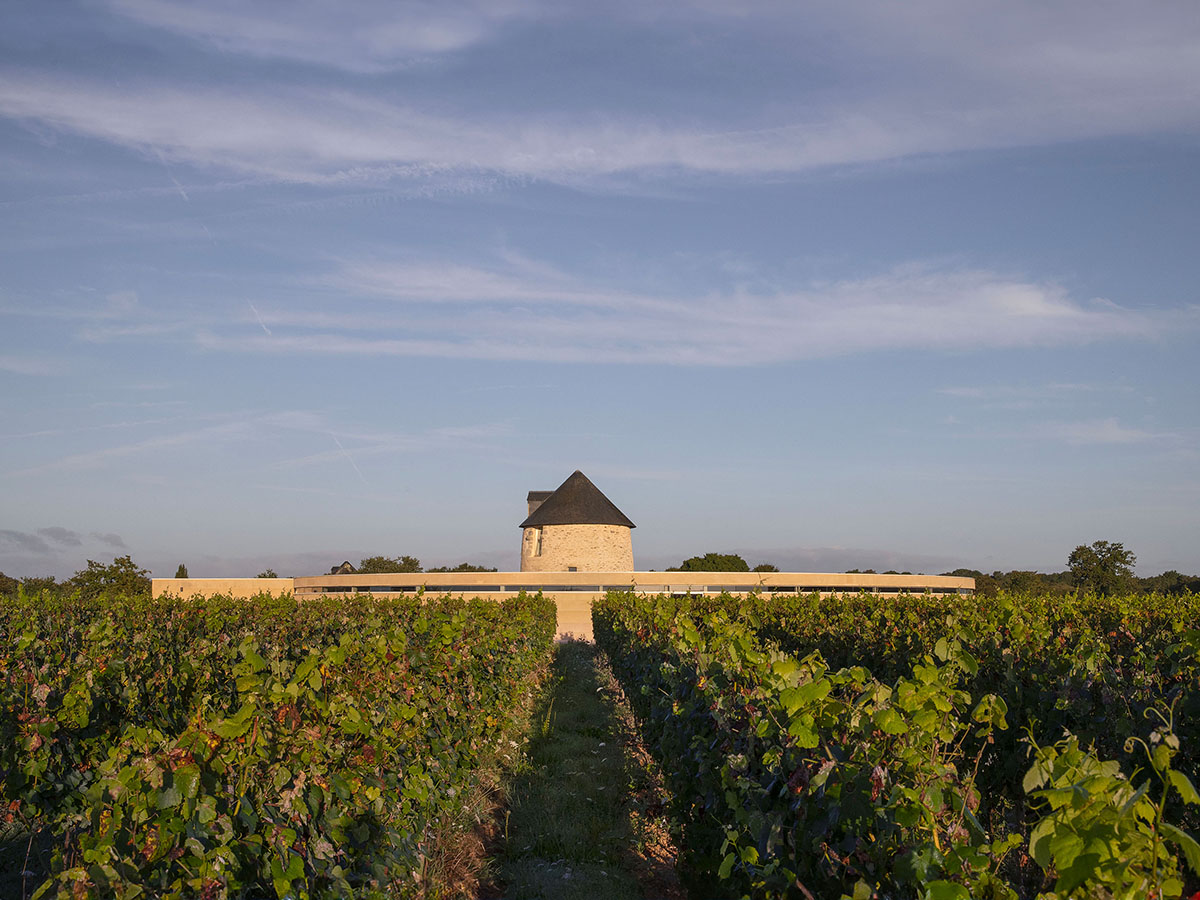 Carmen Maurice Architecture omhult een oude gerenoveerde molen met een wijnpakhuis in Sarzeau