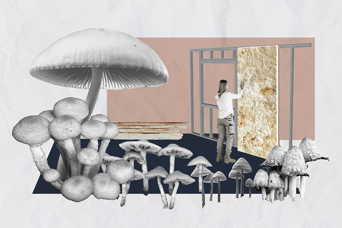 Tallinn Architecture Biennale 2026 announces curatorial team and winning proposal 