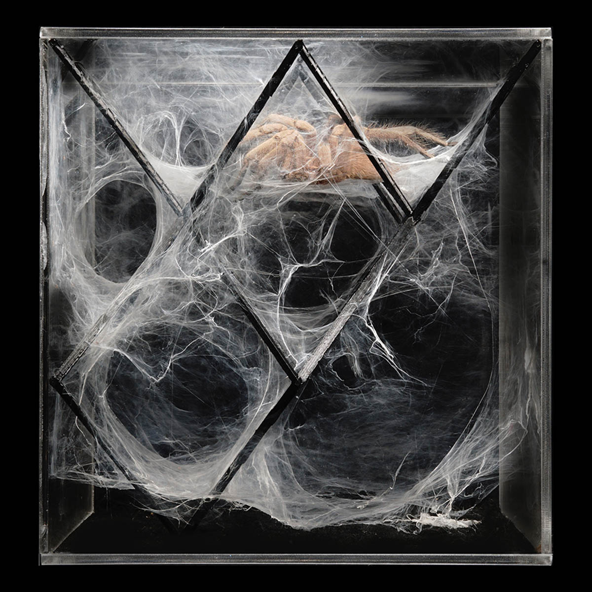 ecoLogicStudio designs two bio-digital sculptures exploring the future forms of spatial intelligence