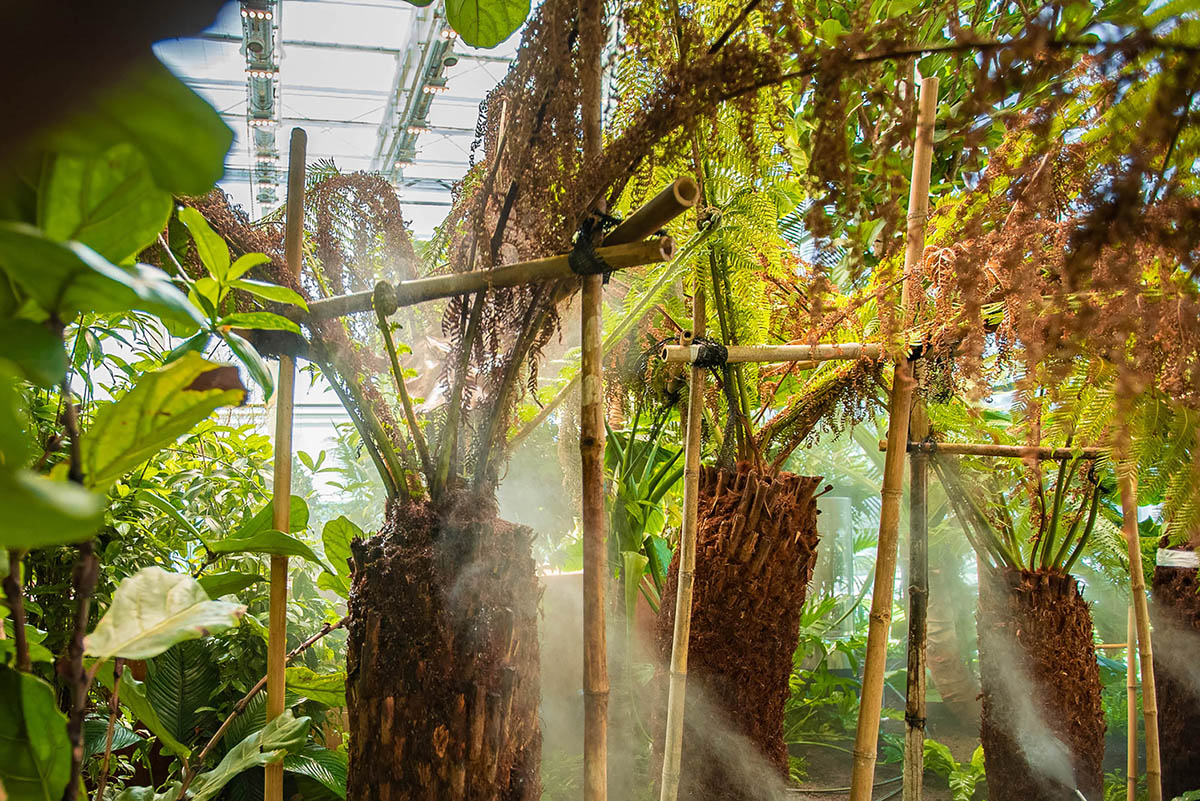 Worksplace nestled in an exotic garden is filled with various plants from many countries in Poland 