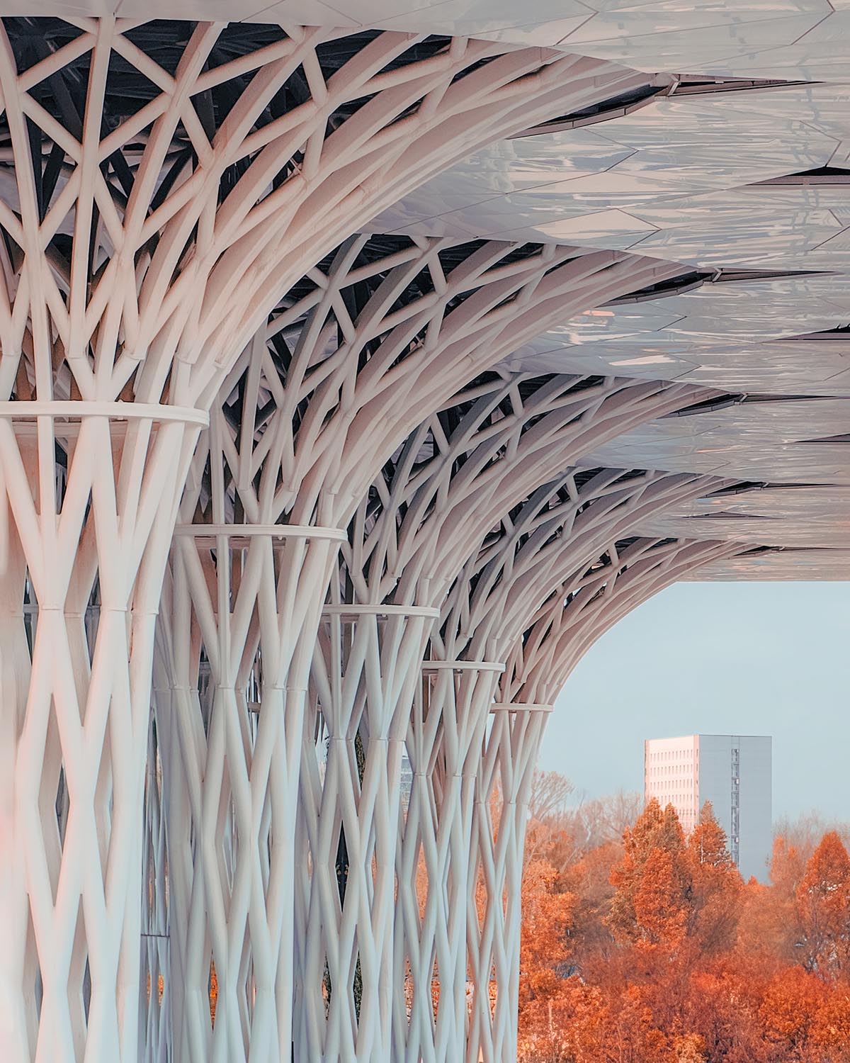 Organic tree-like columns are combined with linear canopy for Metropolitan Station in Lublin 