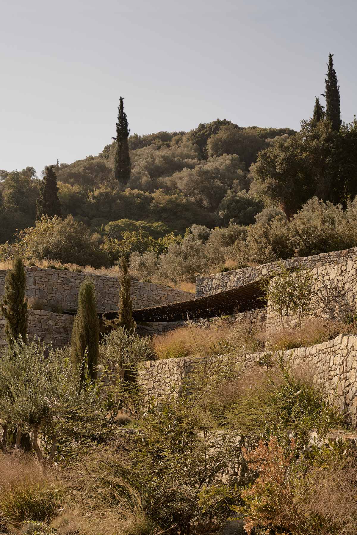 Terraced stonewalls sprawl down to offer an exploratory route in an old vineyard in Samos