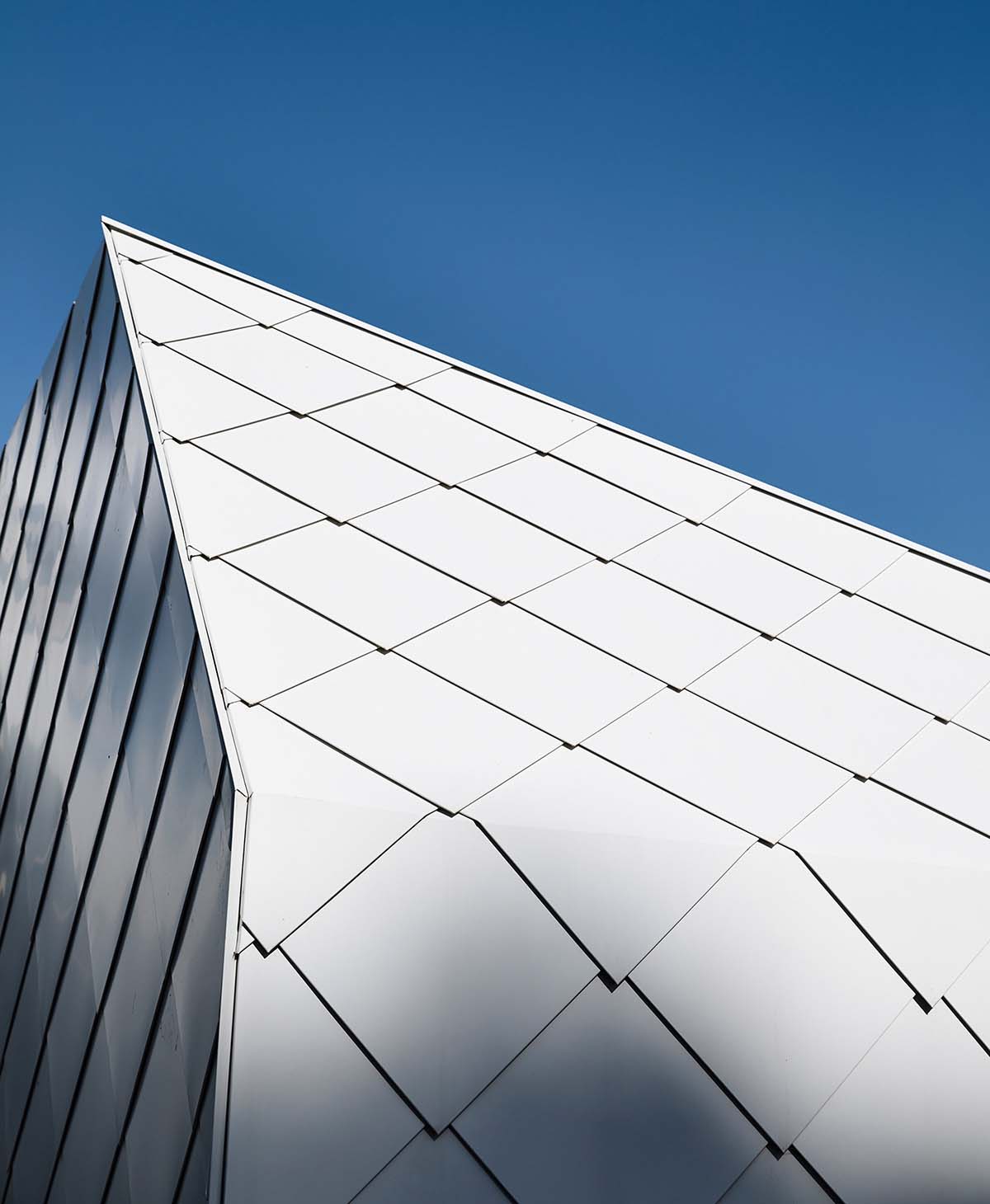 Austin Maynard Architects extends existing post-war Canberra house with two shingle-clad pavilions