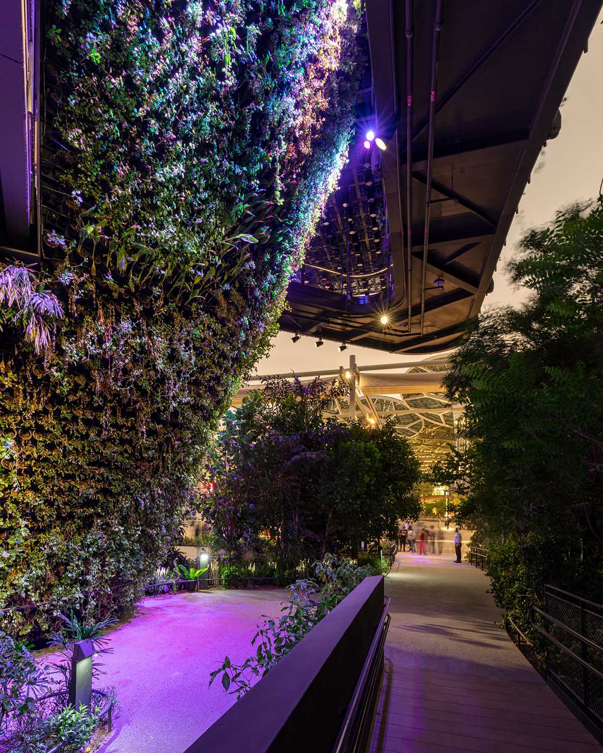 A city in nature: Singapore Pavilion presents Nature. Nurture. Future at Expo 2020 Dubai