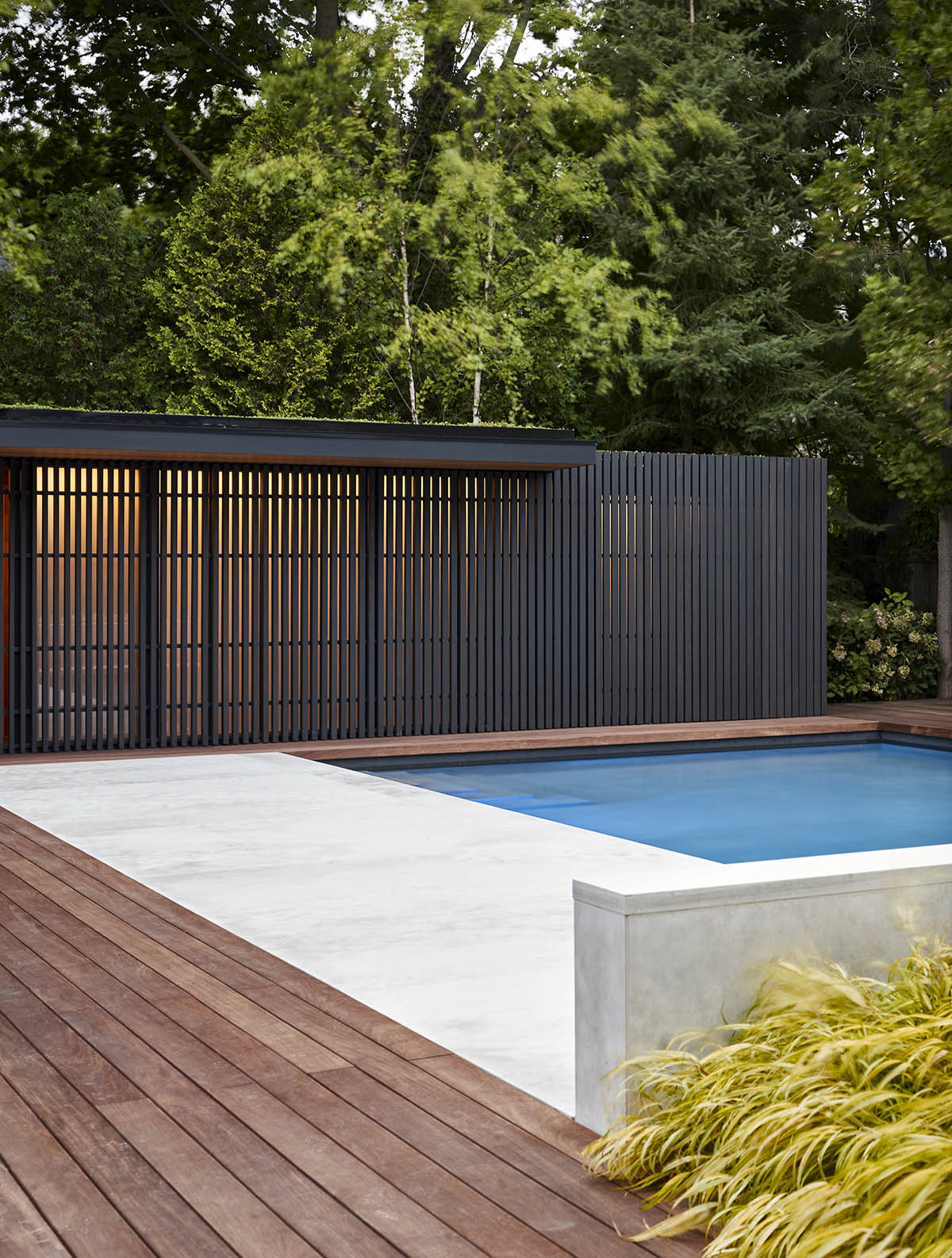 Vertical cedar battens wrap this pavilion by Amantea Architects in a lush green landscape in Toronto
