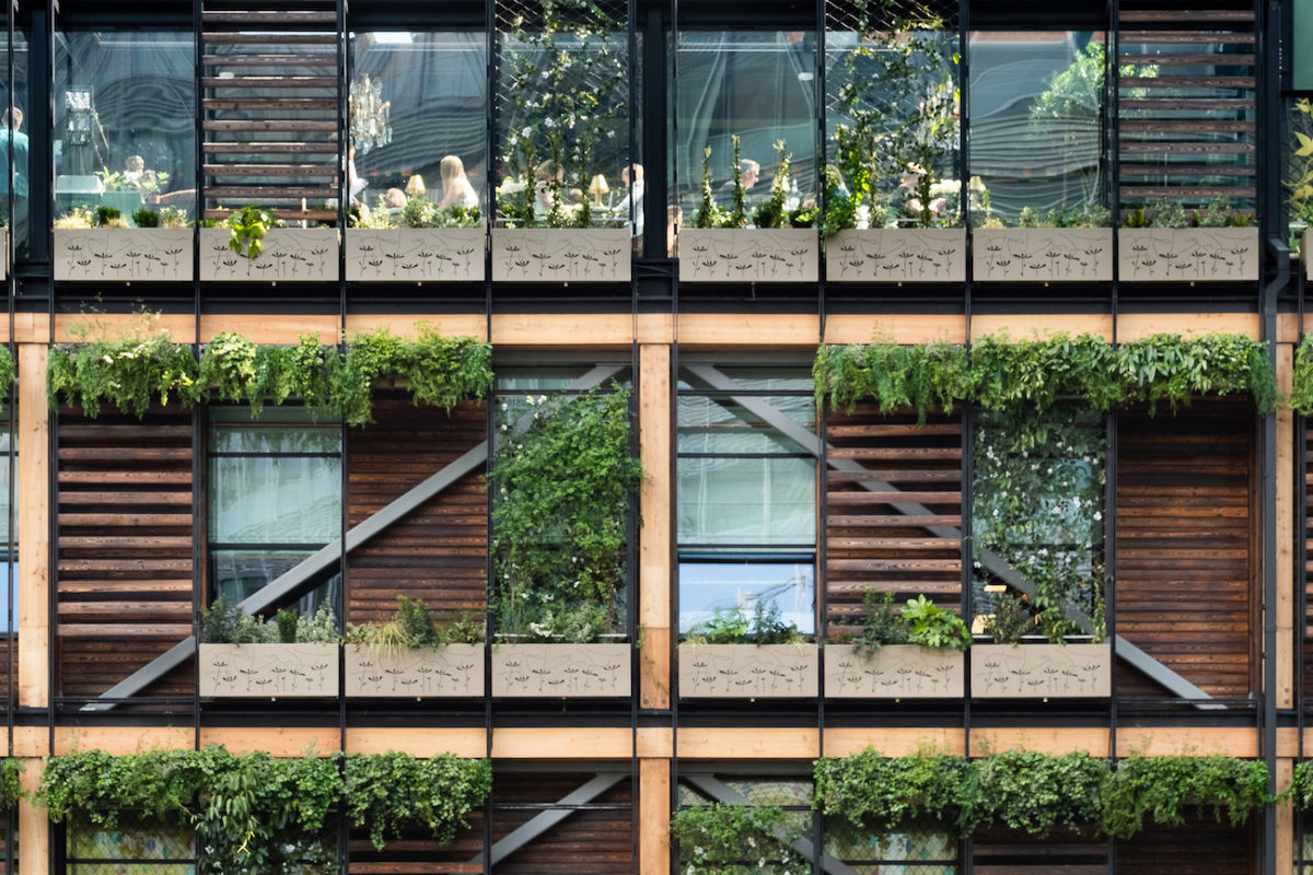 Experimental green in Manchester: Hardman Square Pavilion