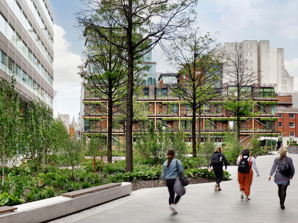 Experimental green in Manchester: Hardman Square Pavilion