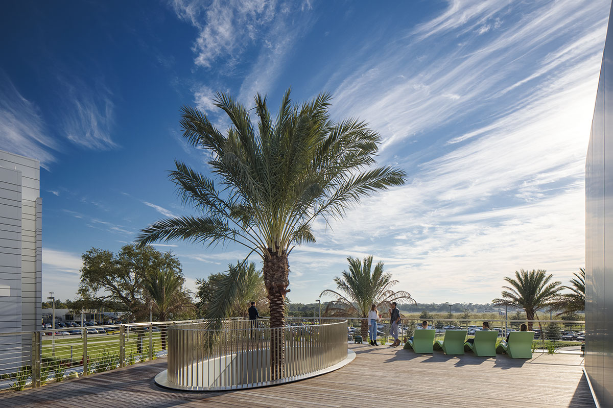 ikon.5 architects designs student union with soaring form expressing flight on Daytona Beach