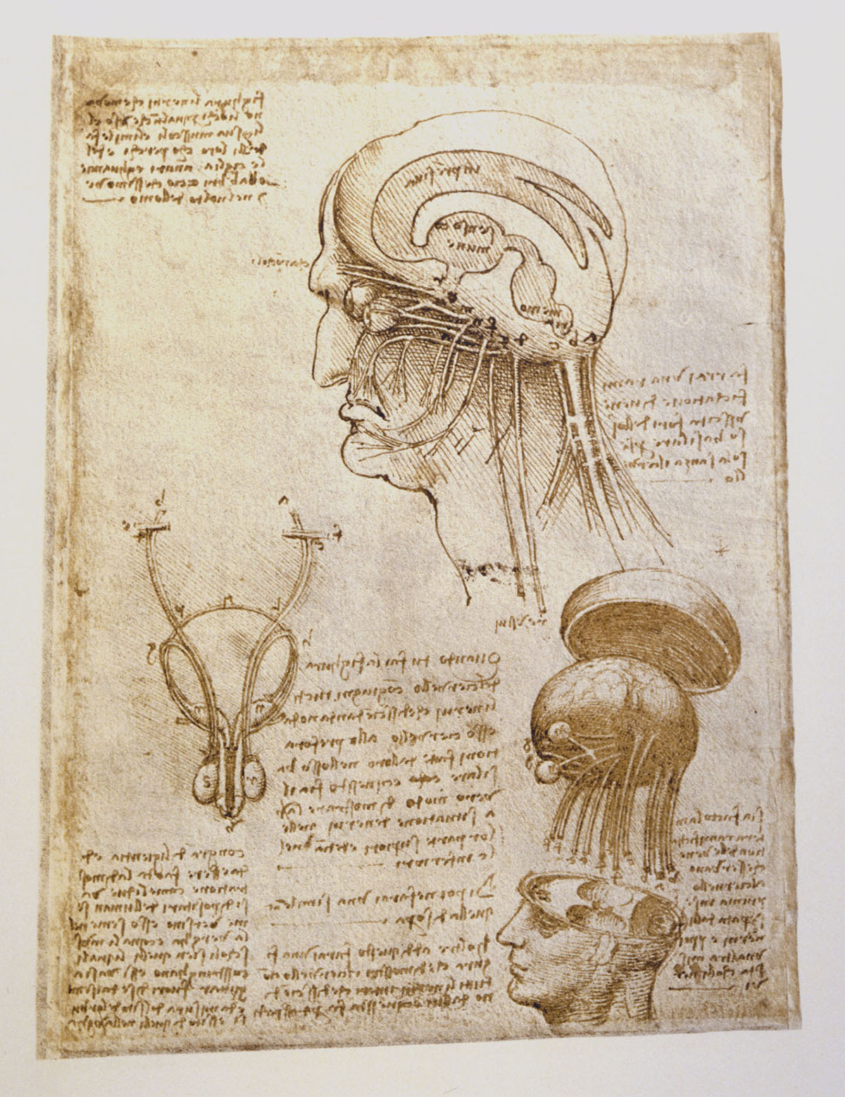 Shaping the future of wellbeing in Italy