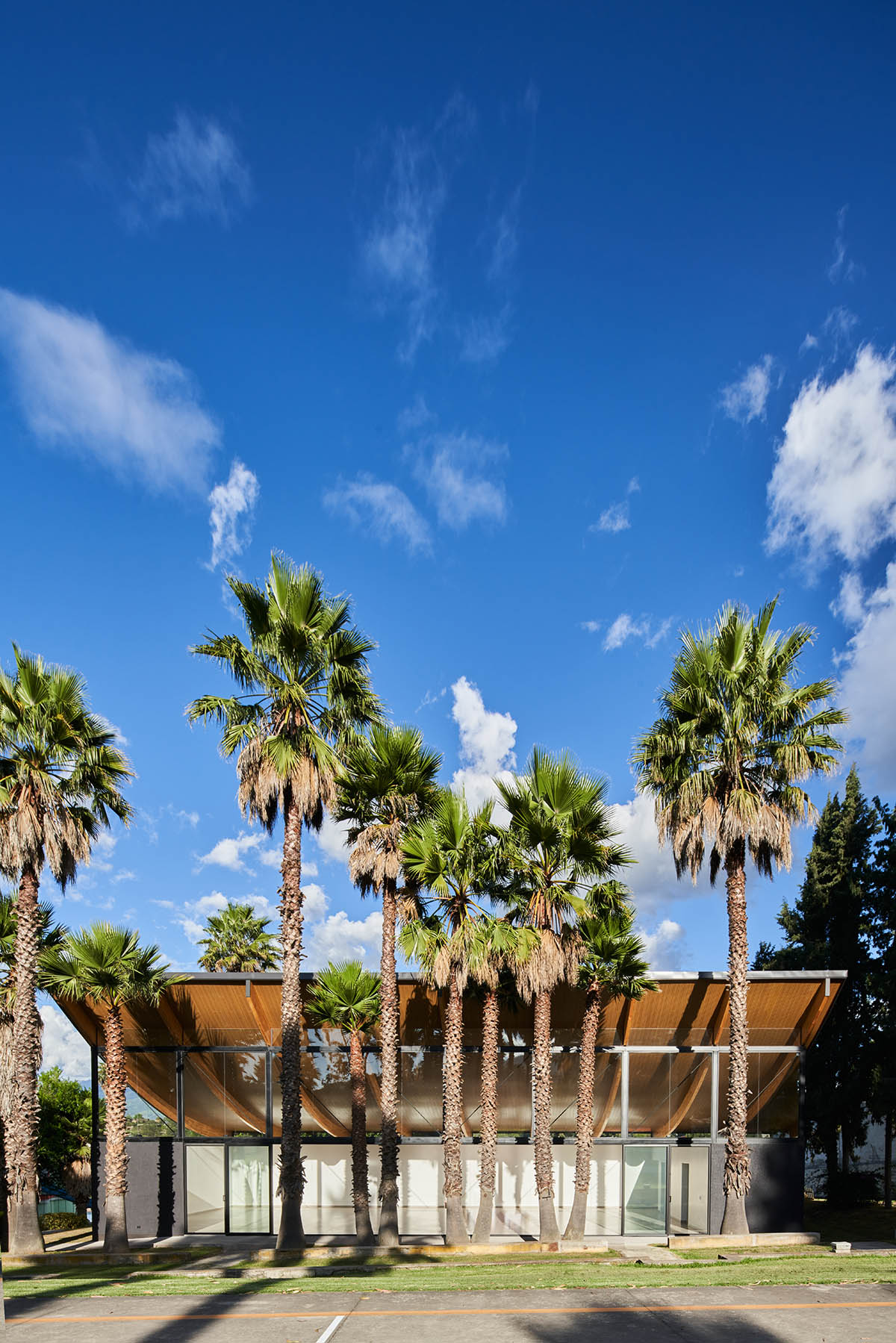 TEC Taller EC creates pavilion with concave wooden roof that becomes a façade in Ecuador