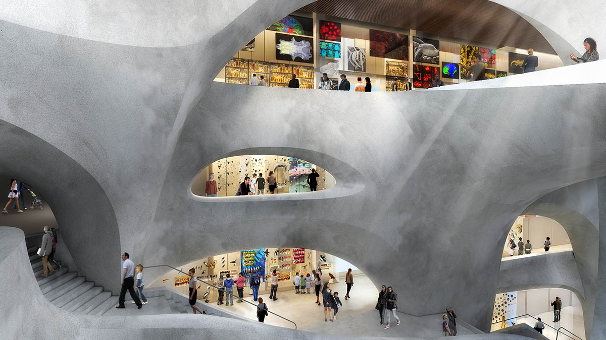Detailed images of American Museum of Natural History capture vivid life by Studio Gang
