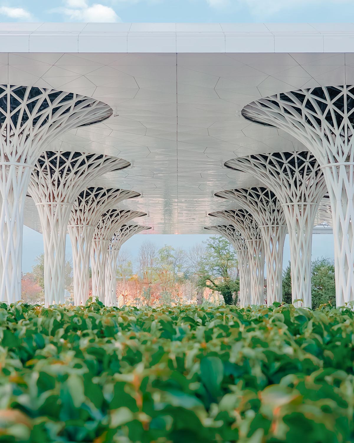 Organic tree-like columns are combined with linear canopy for Metropolitan Station in Lublin 