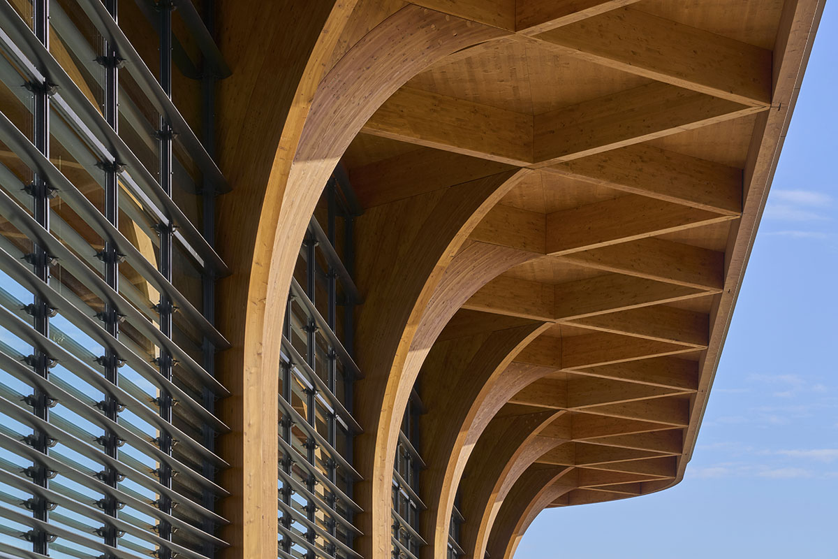 De Zwarte Hond built cathedral-like market hall with net-like wooden trusses and columns in Groningen