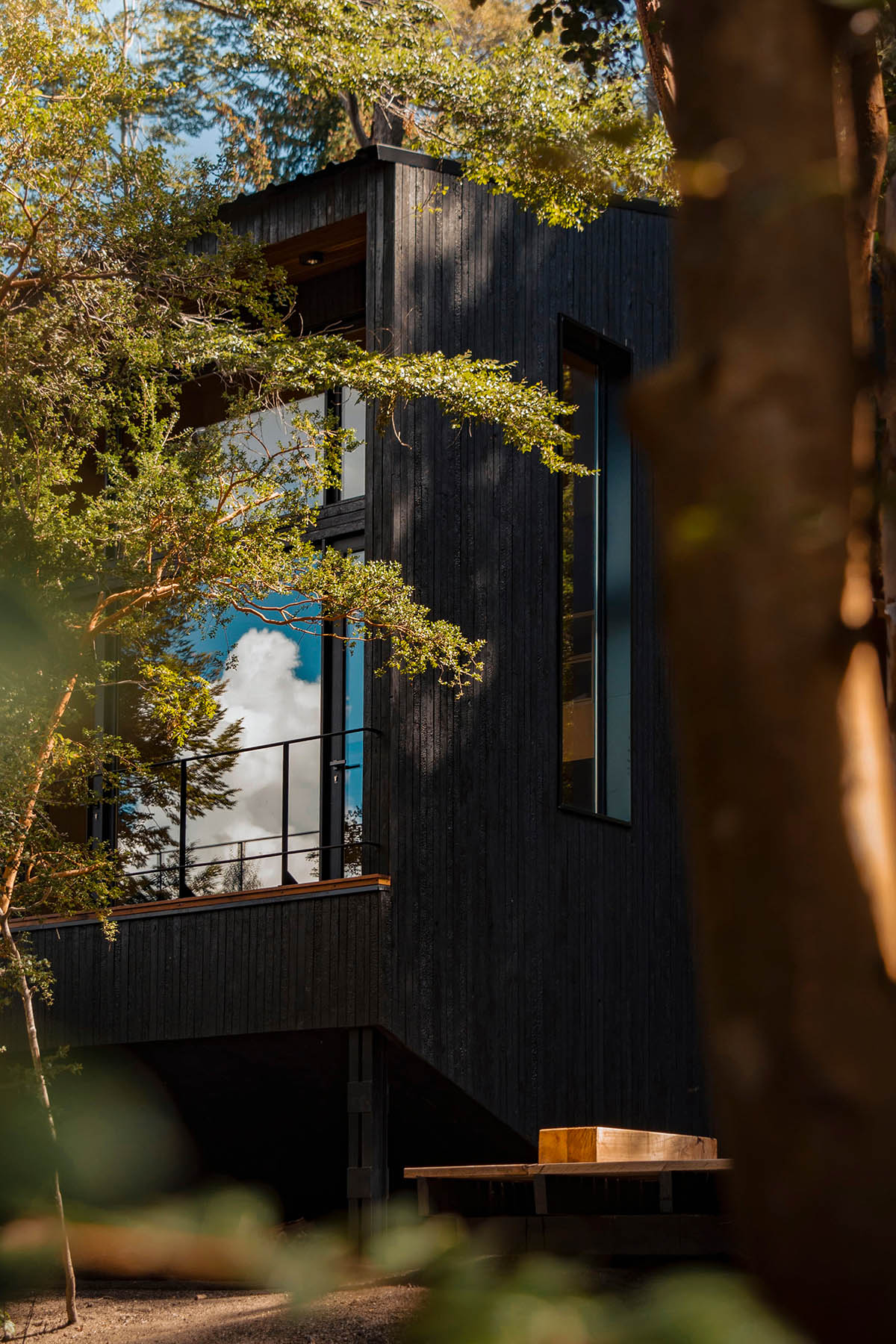 Argentinean guest cabins are envisioned with a rugged, rocky morphology clad in eucalyptus wood