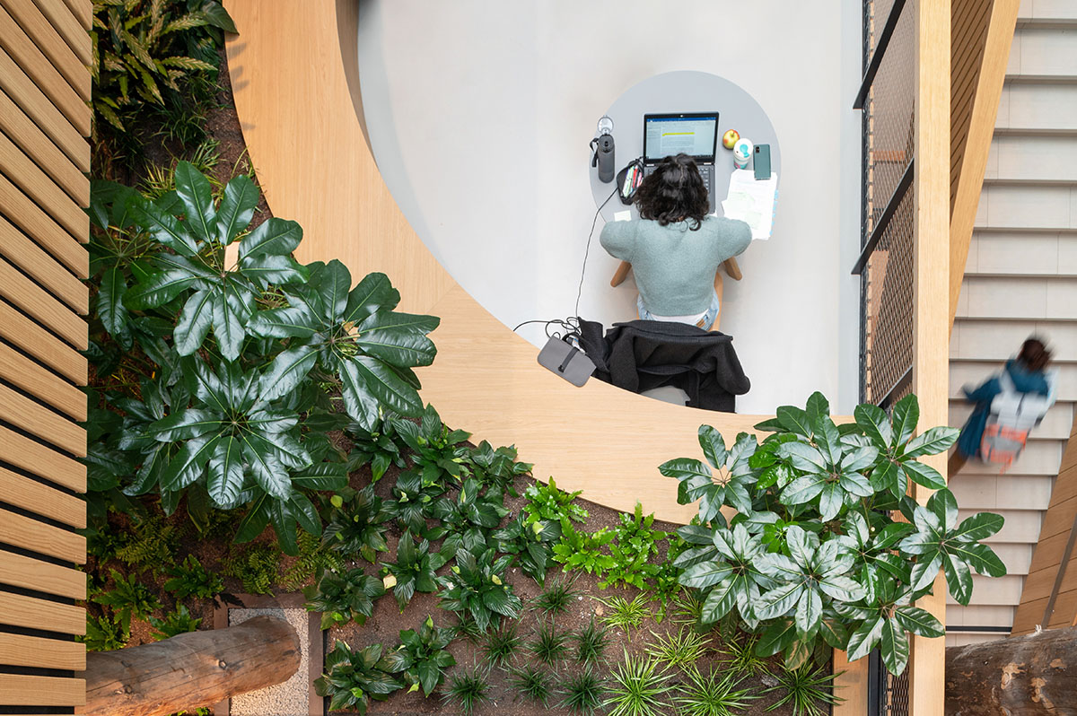 Untreated tree trunks pass through the central staircase of the Langeveld Building in Rotterdam