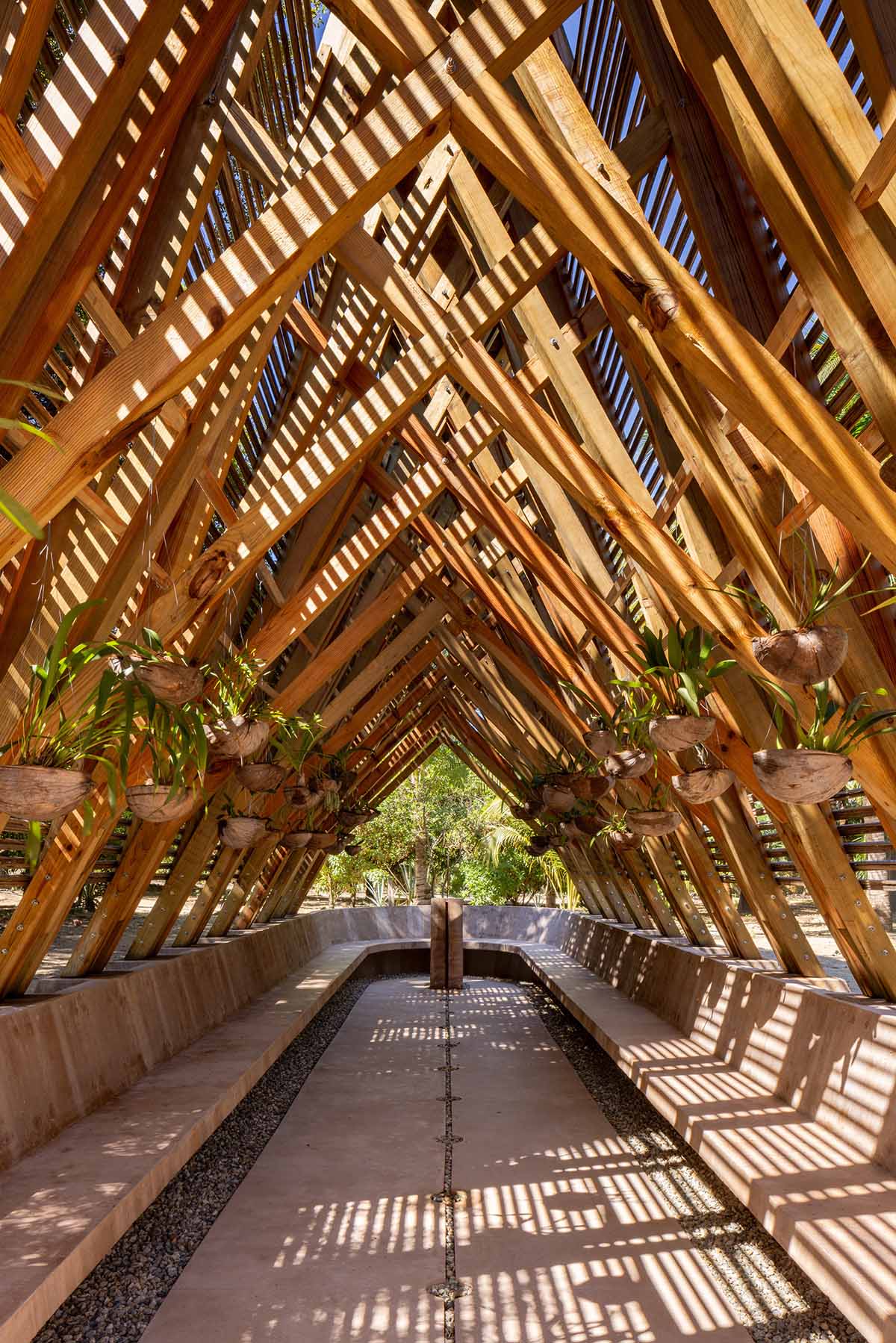 Centro de Colaboración Arquitectónica completes wooden Orchid Pavilion for Casa Wabi in Mexico