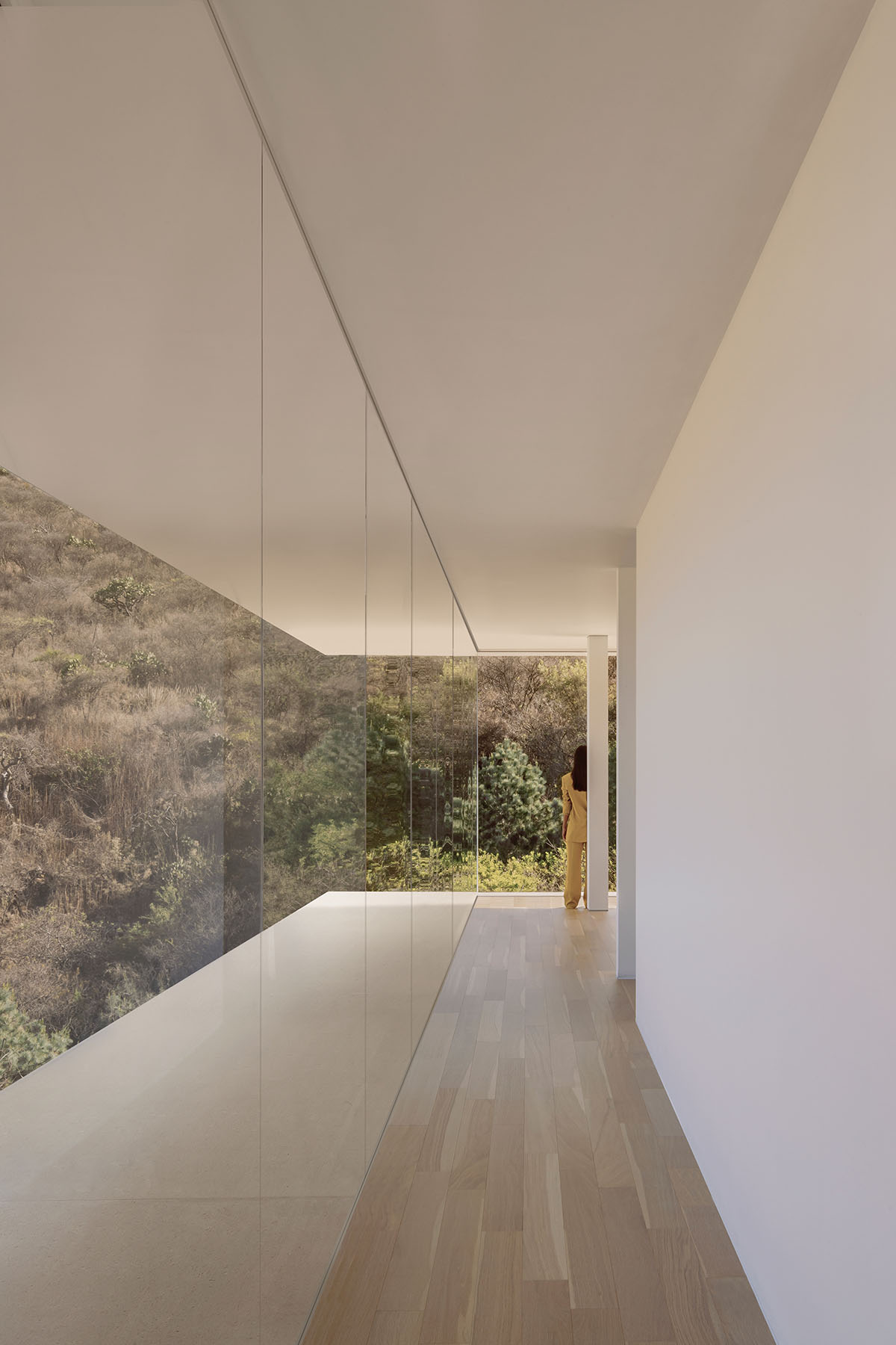 Horizontal Shi House by HW Studio acts like smooth transition on the Mexican ravine 