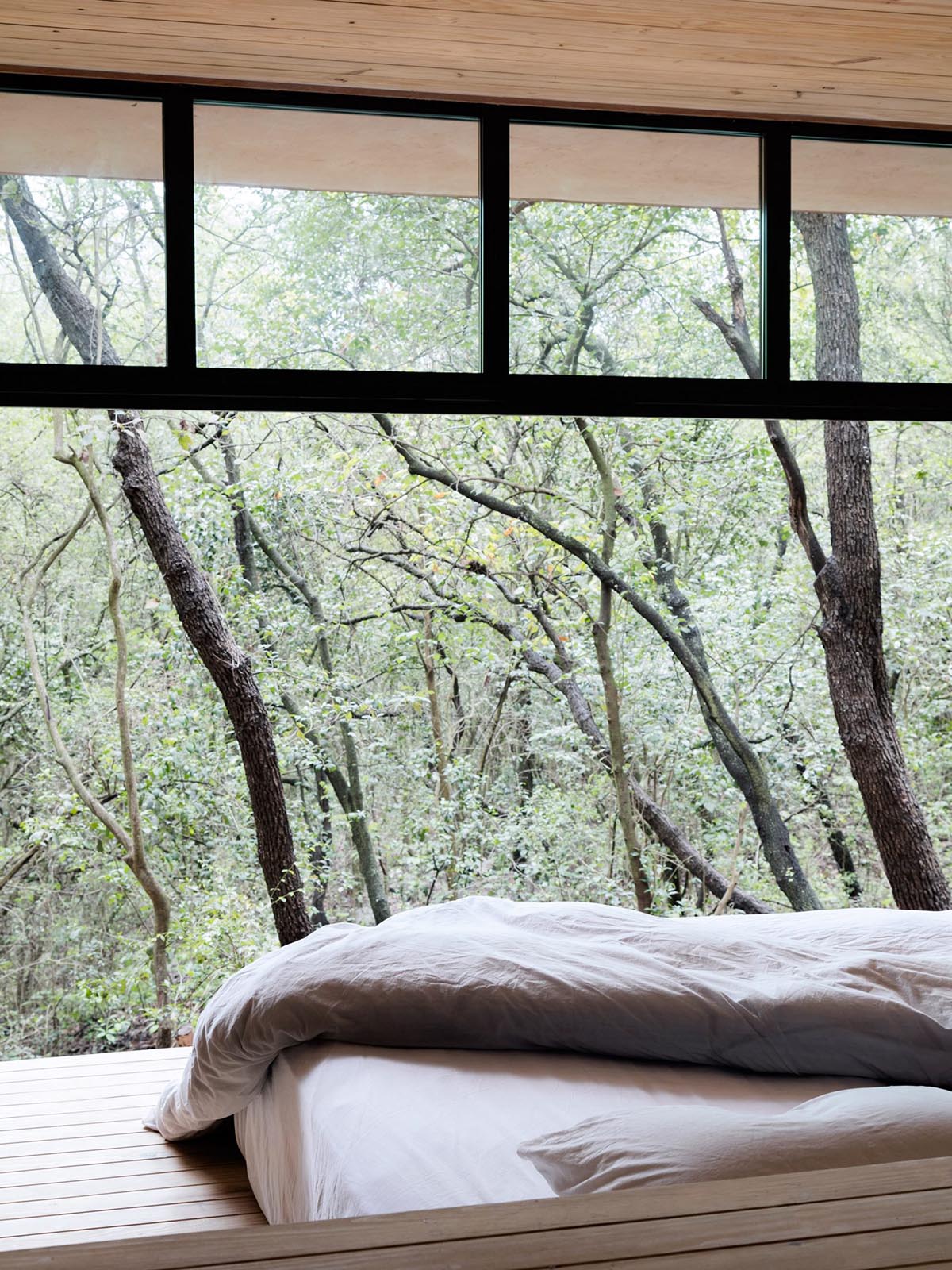 Tatiana Bilbao completes holiday dwelling that reflects its surrounding landscape with mirrored skin