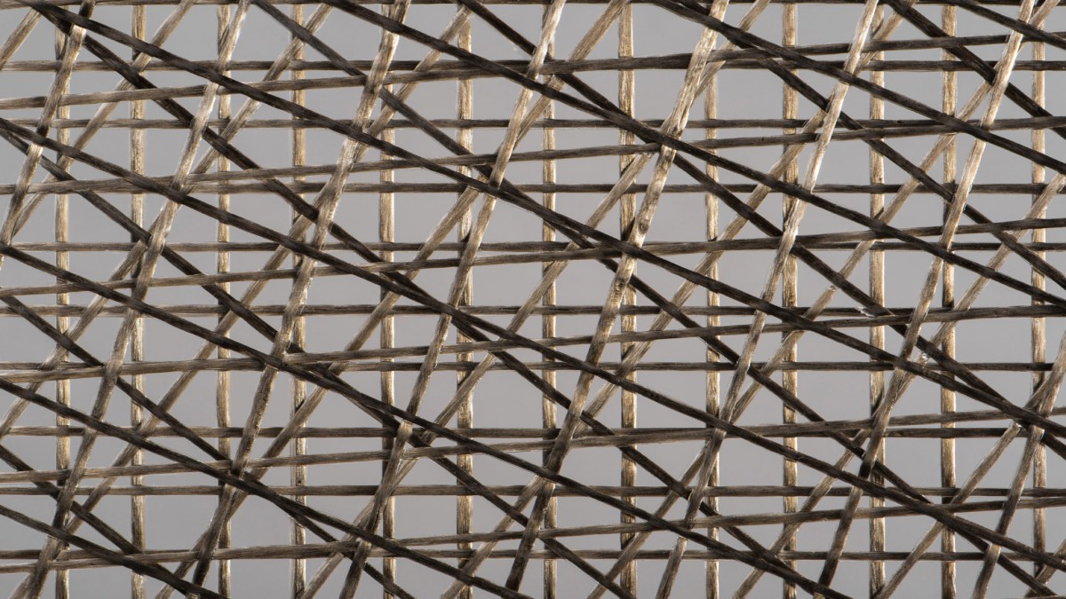 Navigating the Future: In exploration of alternatives