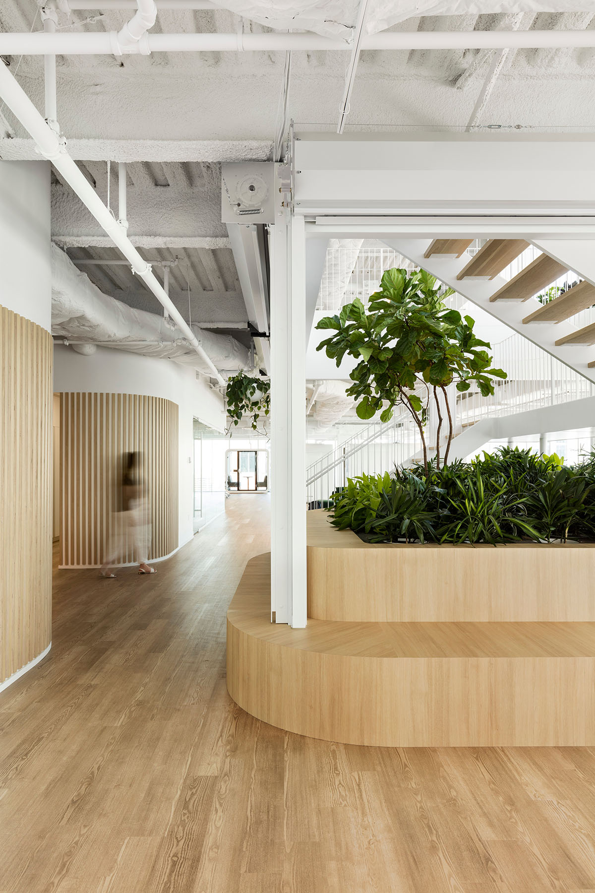 ISSADESIGN merges linear elements and curved working pods for interiors of Behavox in Montreal