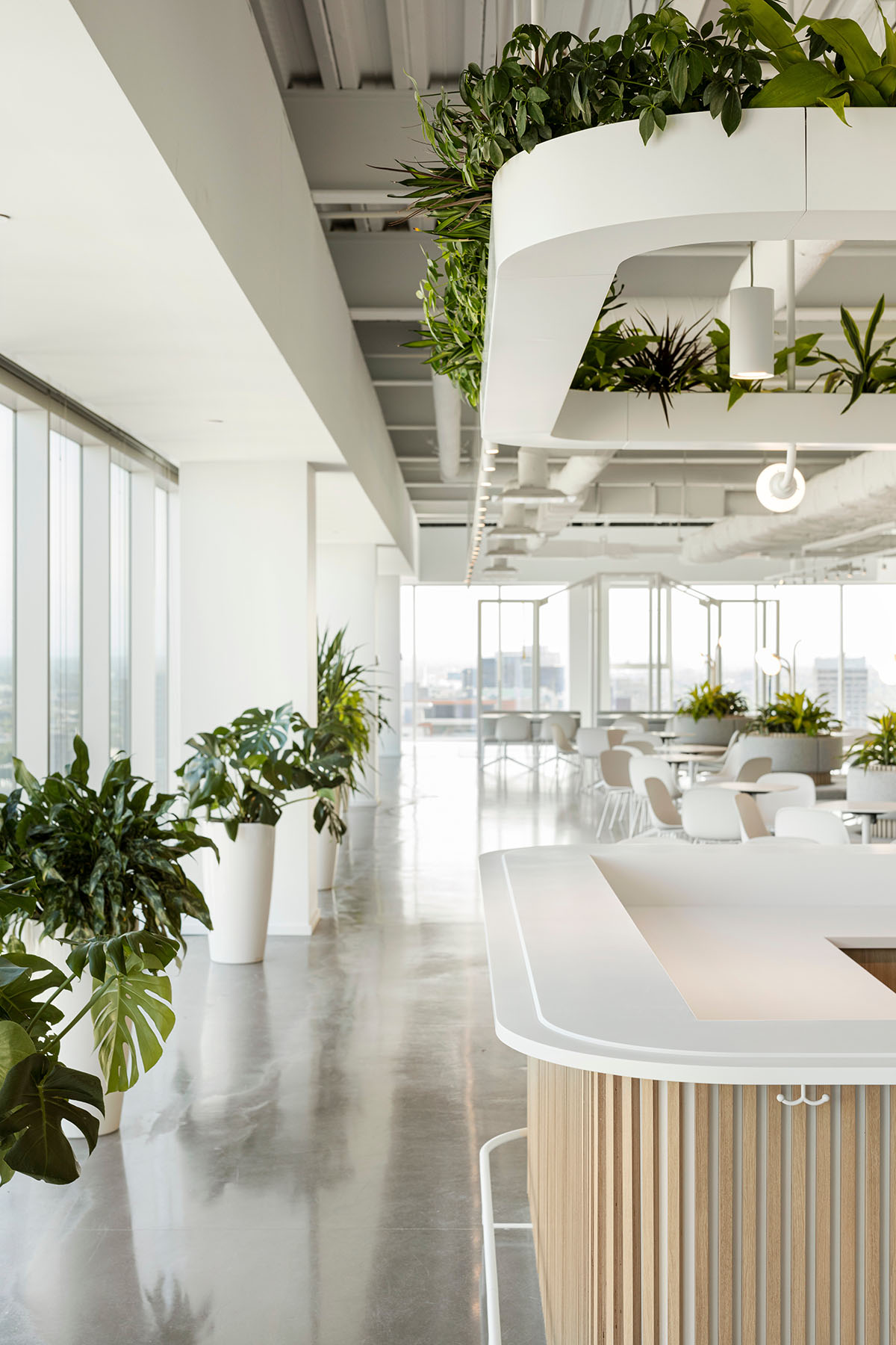 ISSADESIGN merges linear elements and curved working pods for interiors of Behavox in Montreal