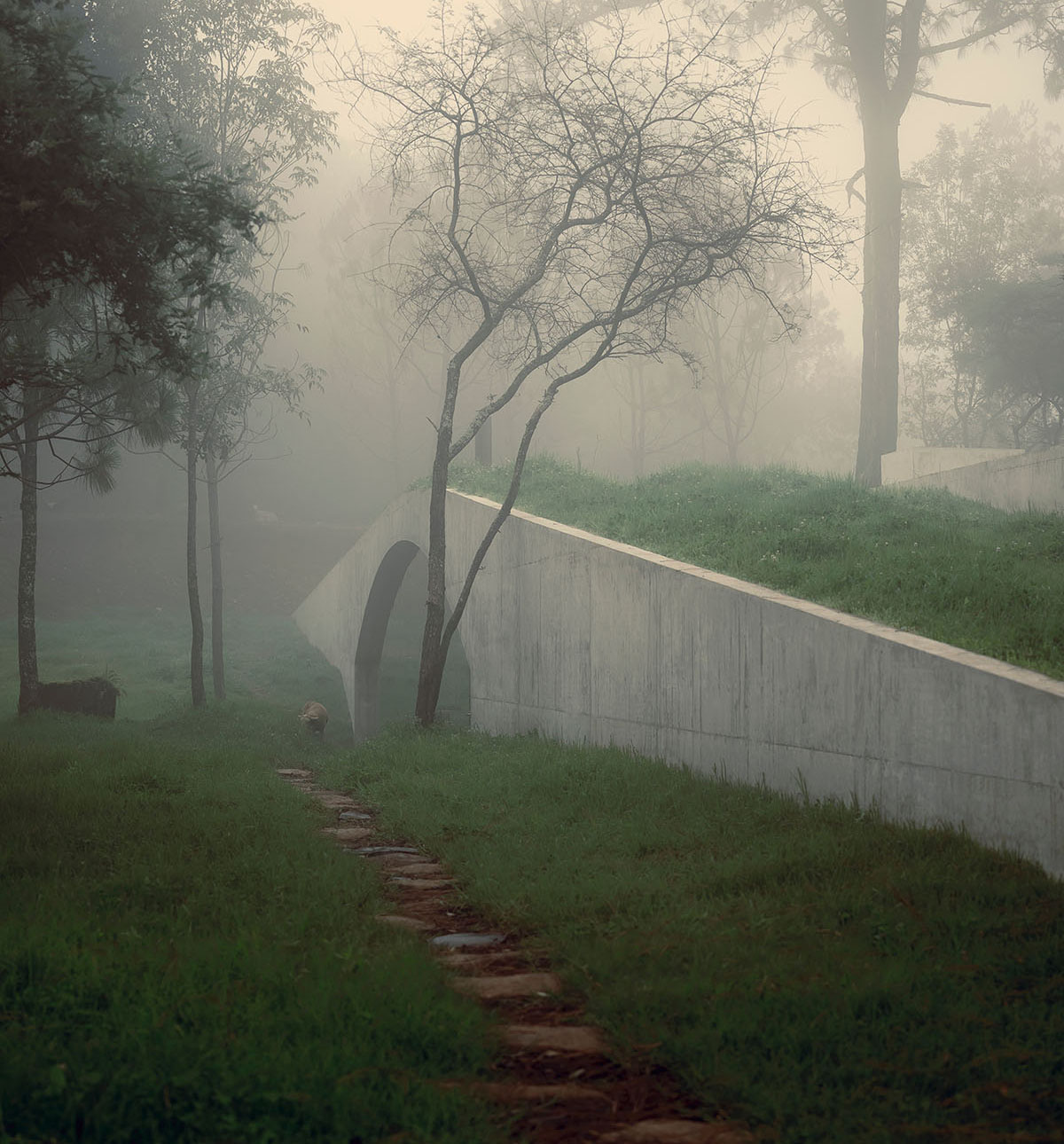 HW Studio designs cozy cave that disappears in the landscape and creates a new hill in Mexico