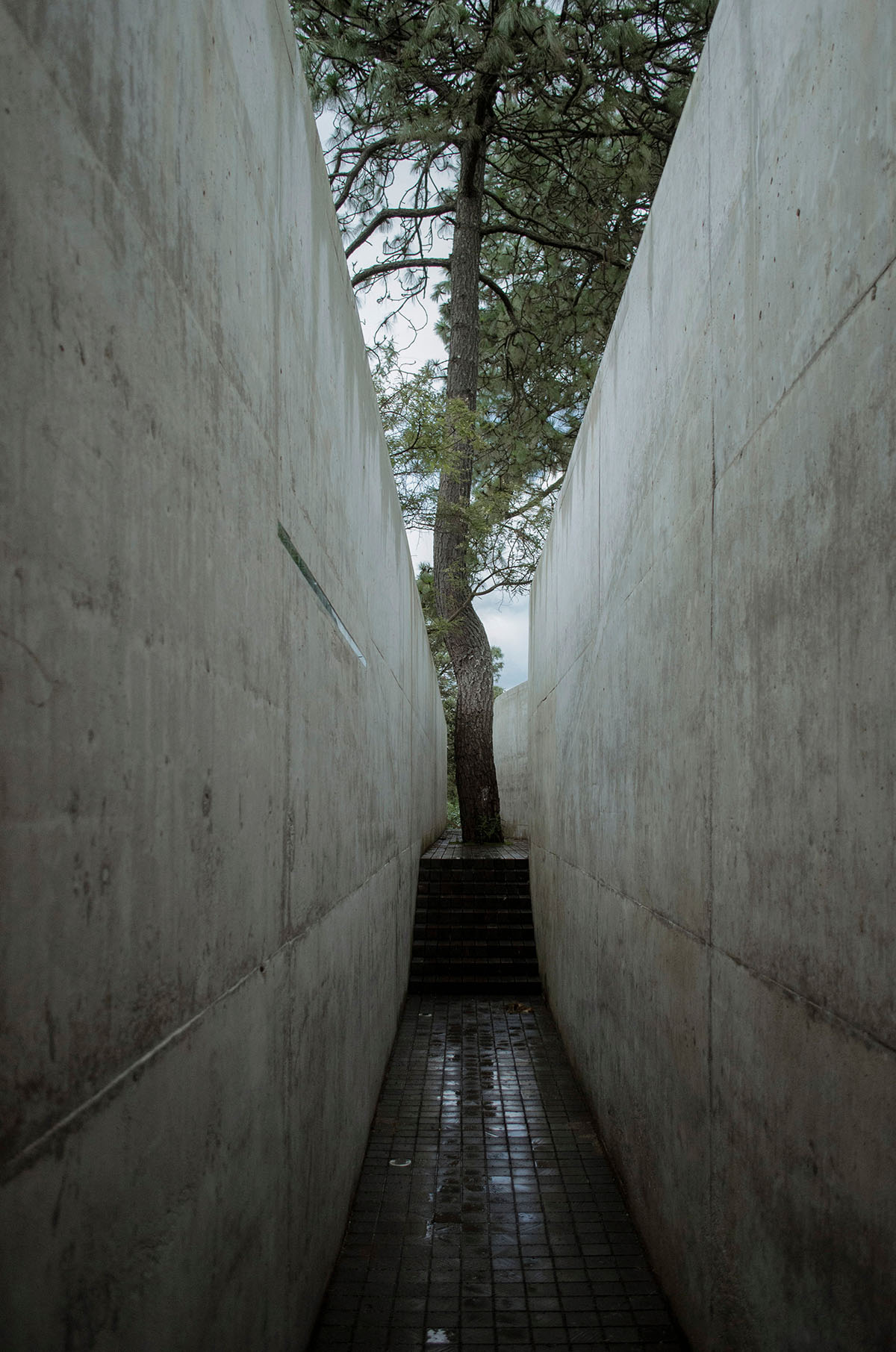 HW Studio designs cozy cave that disappears in the landscape and creates a new hill in Mexico