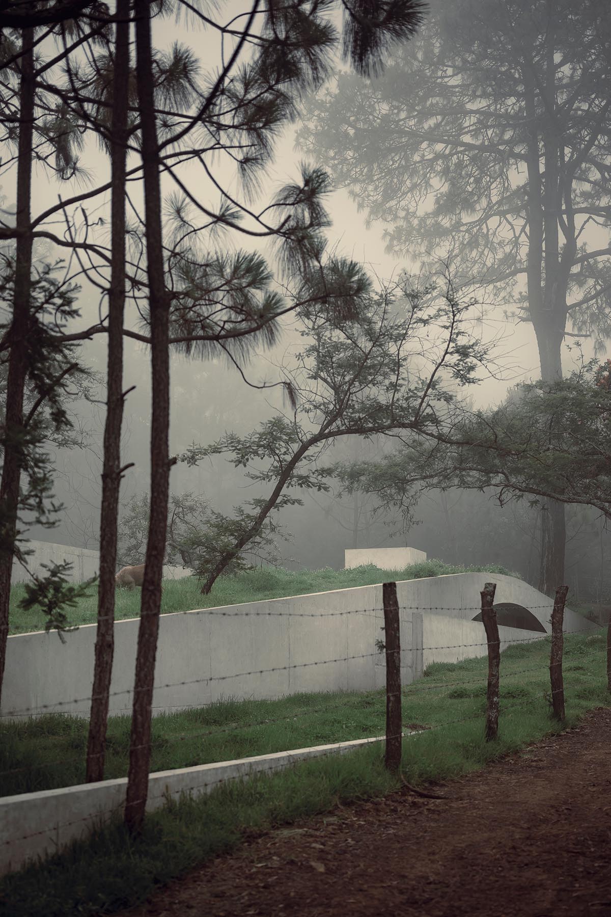 HW Studio designs cozy cave that disappears in the landscape and creates a new hill in Mexico