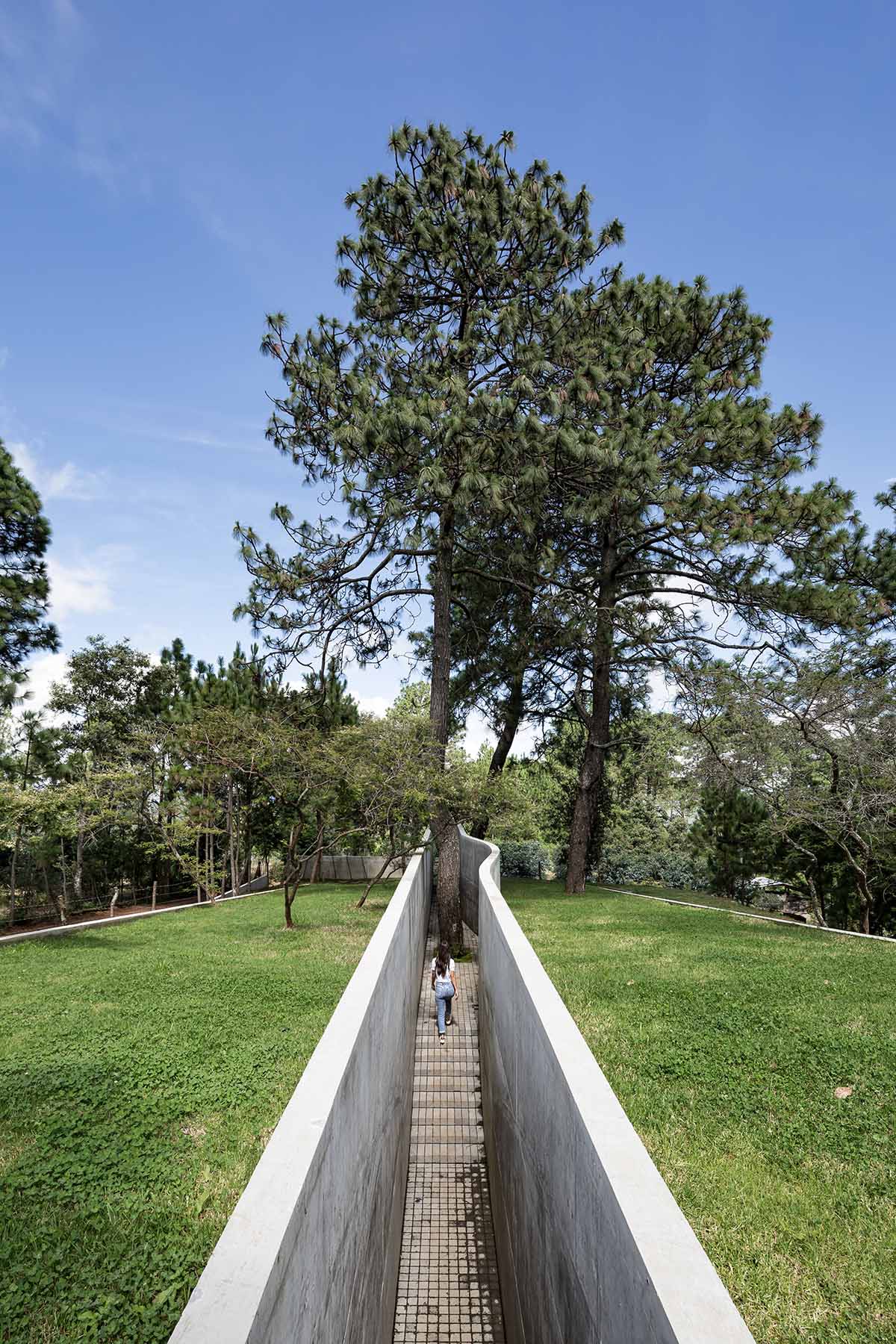 HW Studio designs cozy cave that disappears in the landscape and creates a new hill in Mexico