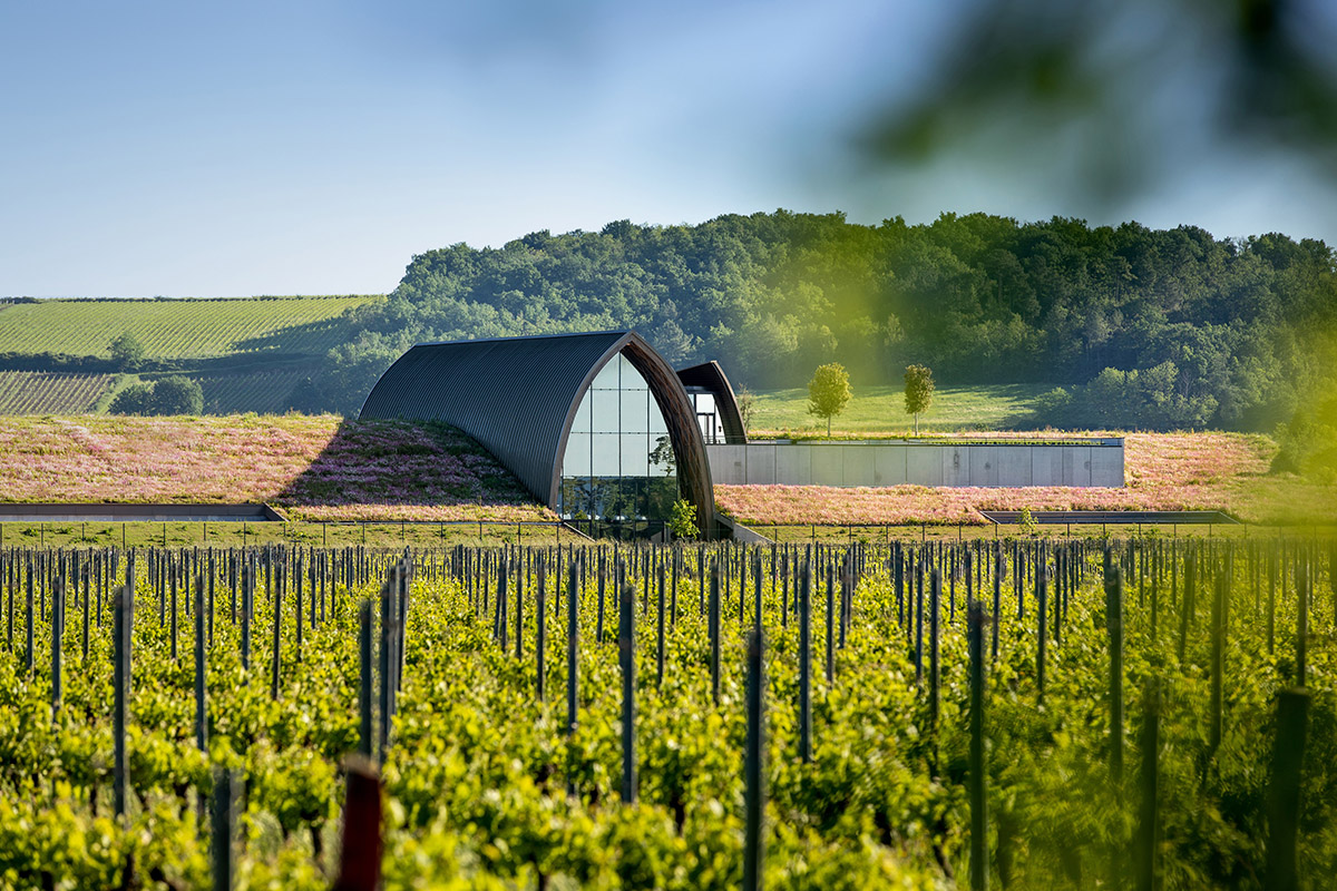 Eric Castagnotto completes new winery cellar in France