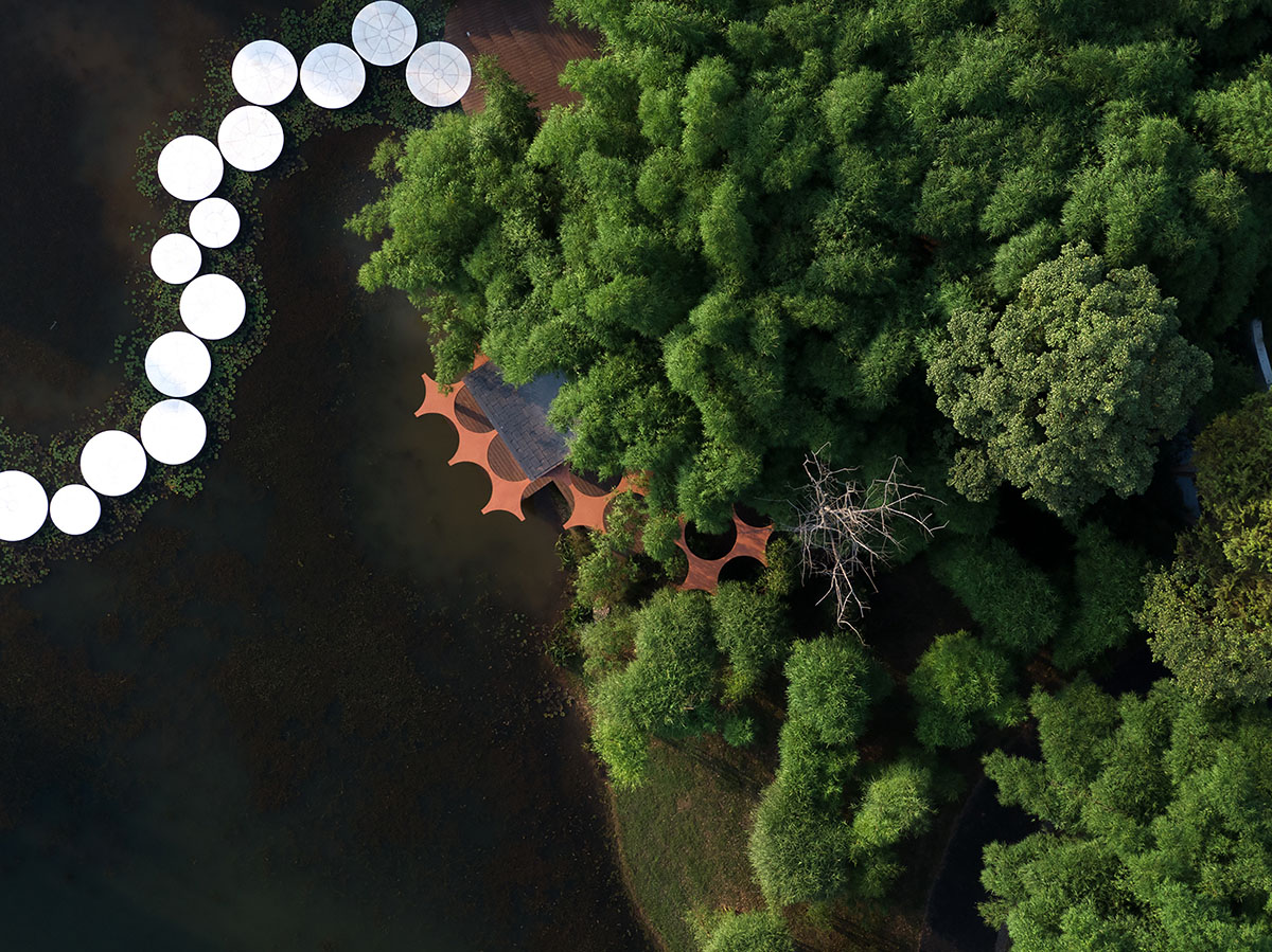 aoe designs Chinese Cultural Hall with cross-shaped arch columns nestled in a bamboo forest