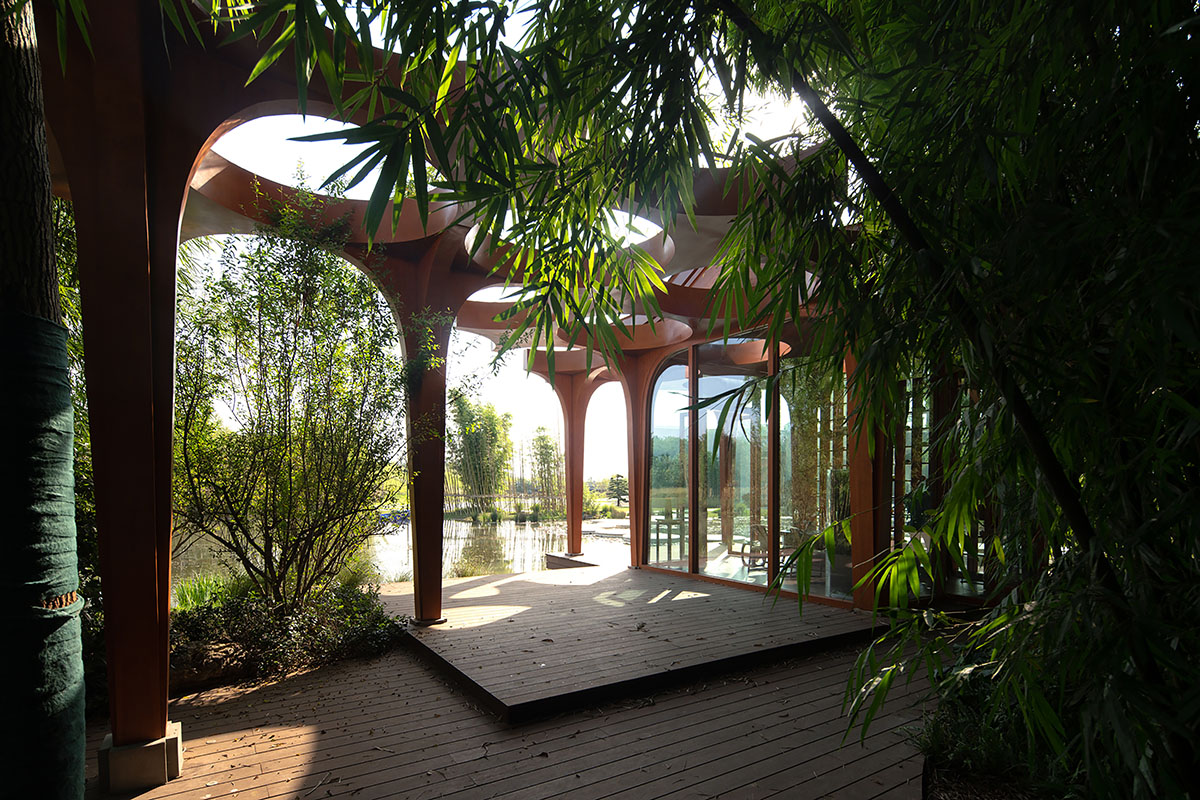 aoe designs Chinese Cultural Hall with cross-shaped arch columns nestled in a bamboo forest