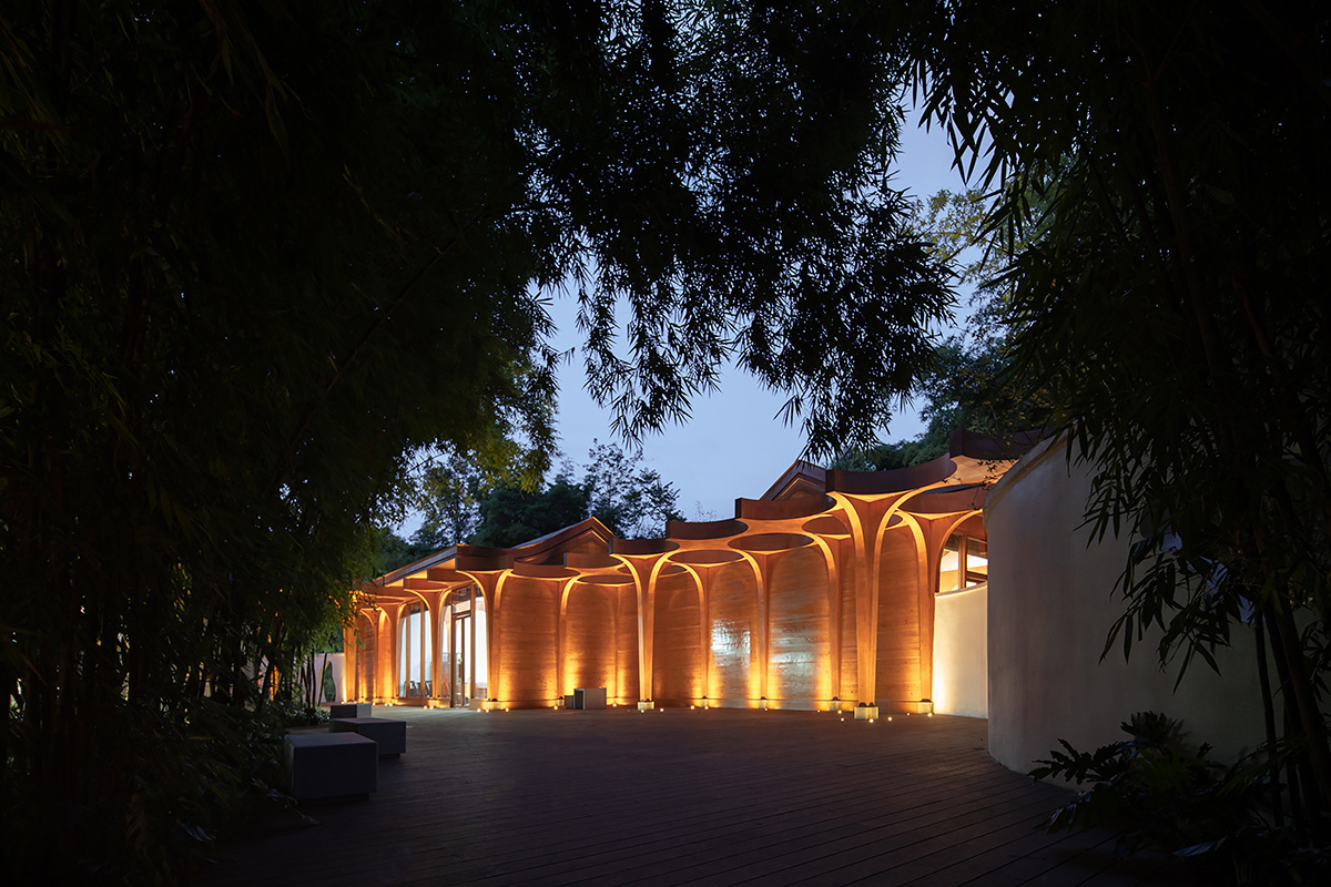 aoe designs Chinese Cultural Hall with cross-shaped arch columns nestled in a bamboo forest