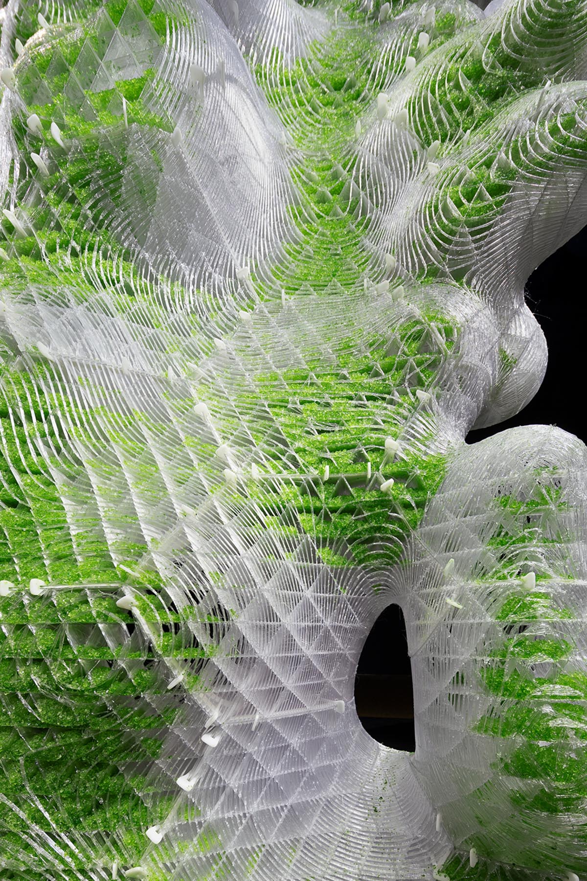 ecoLogicStudio designs two bio-digital sculptures exploring the future forms of spatial intelligence
