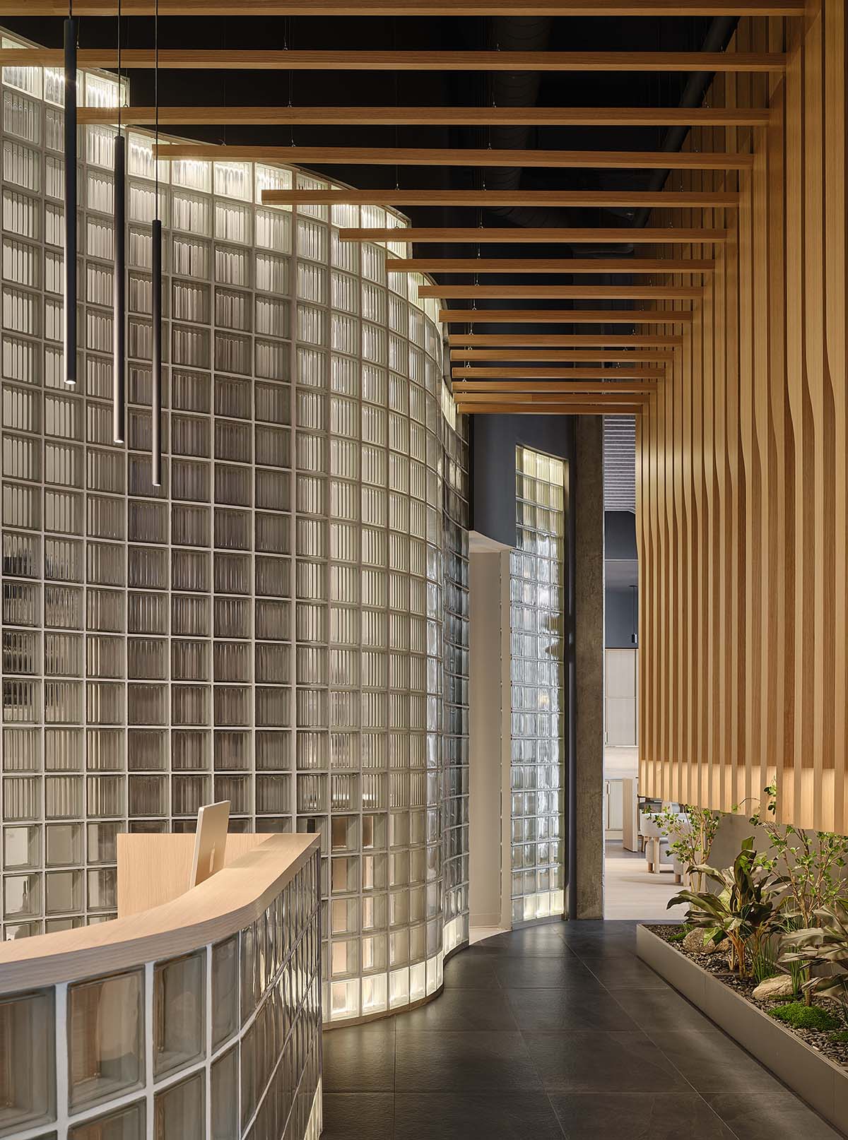 Eye care clinic features a sweeping glass block wall to disperse light in the interior